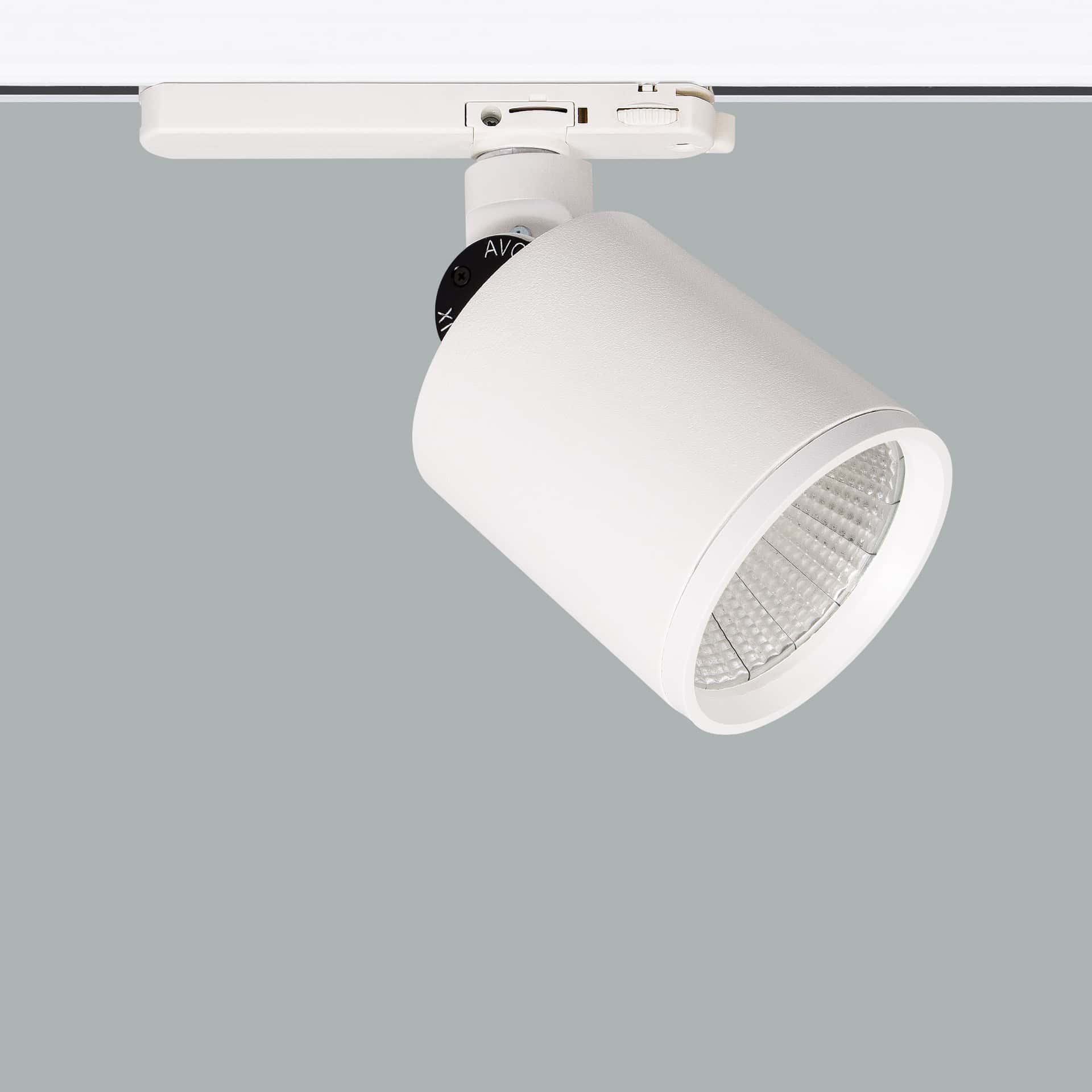 Mini Lale Deco - image 2