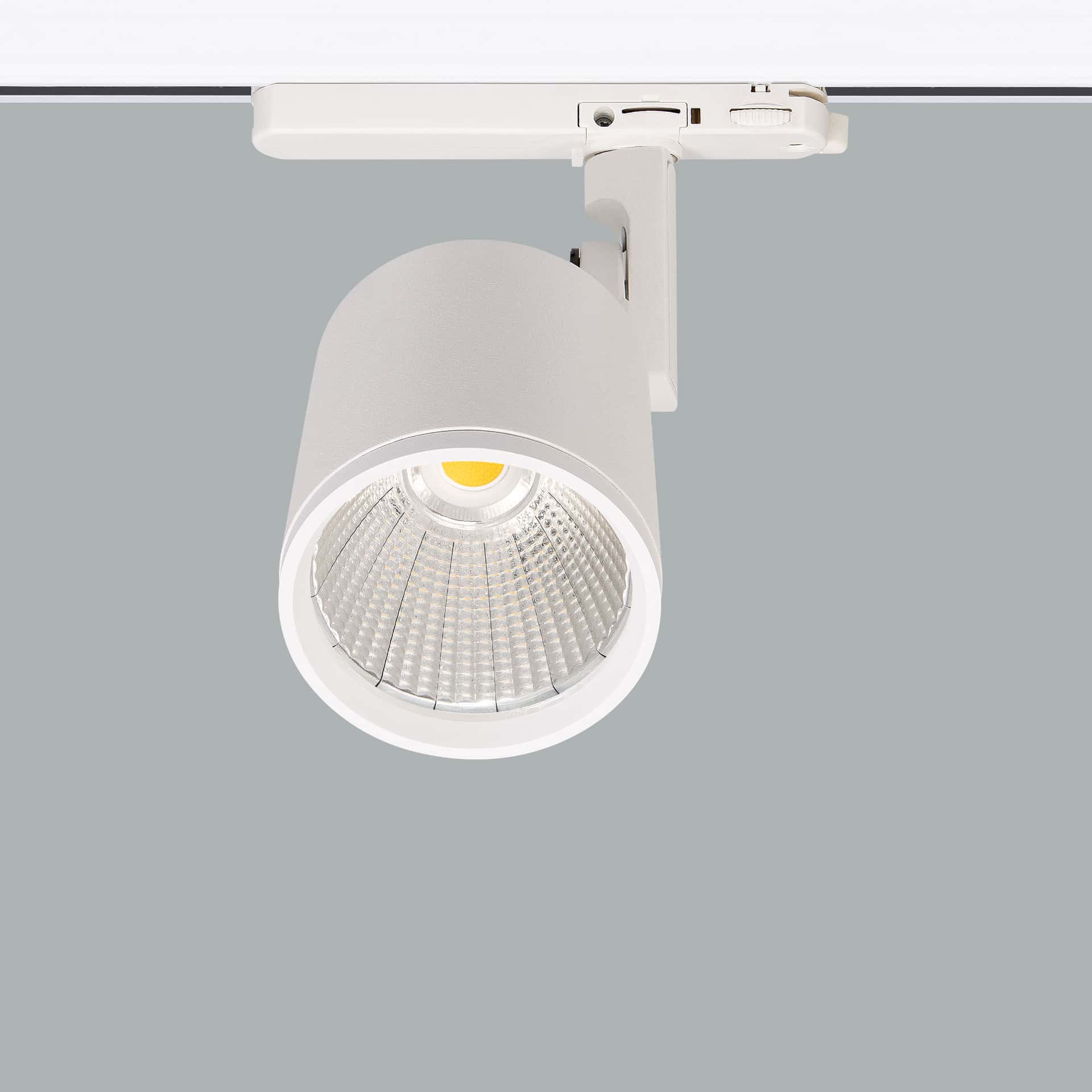 Mini Lale Deco - image 3