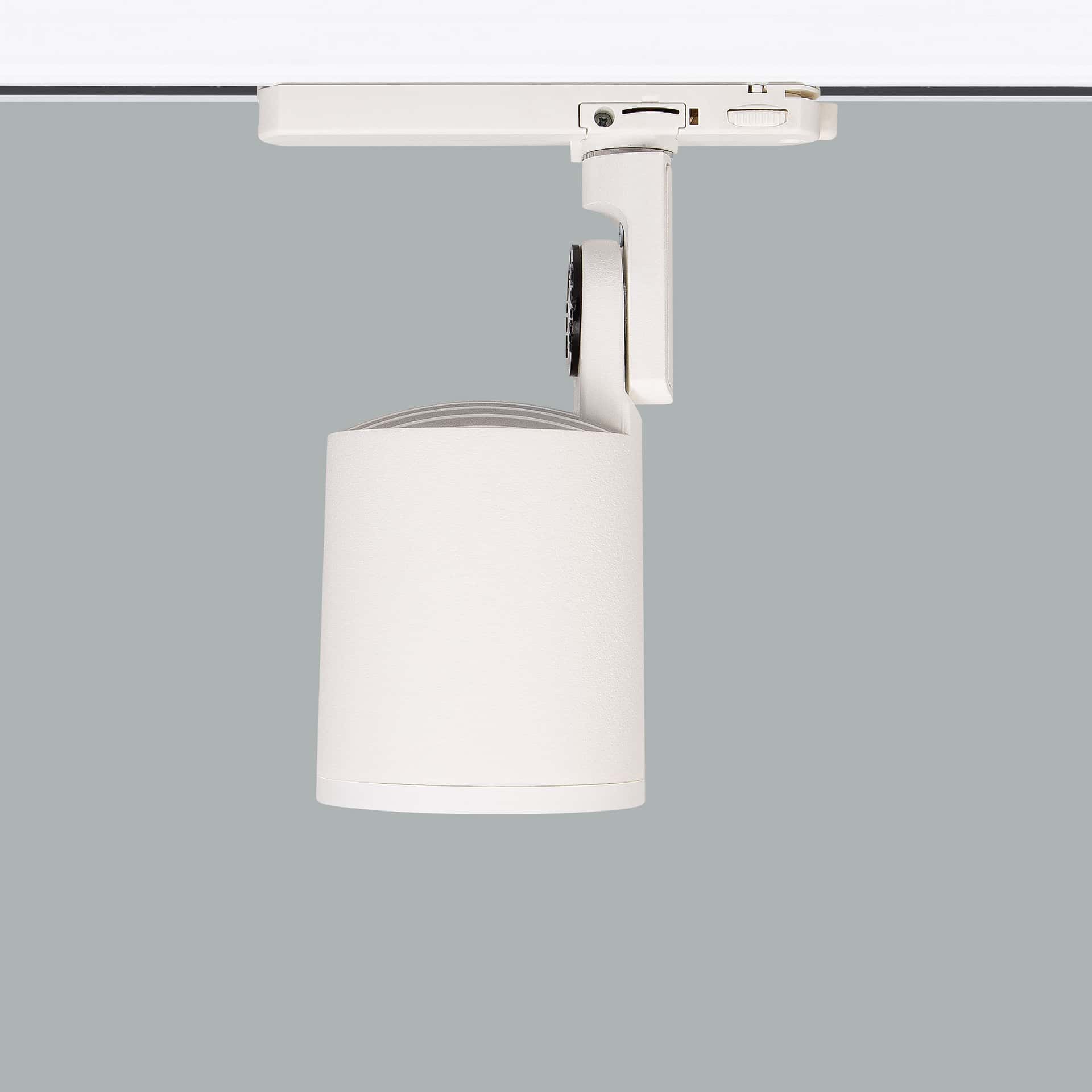 Mini Lale Deco - image 5