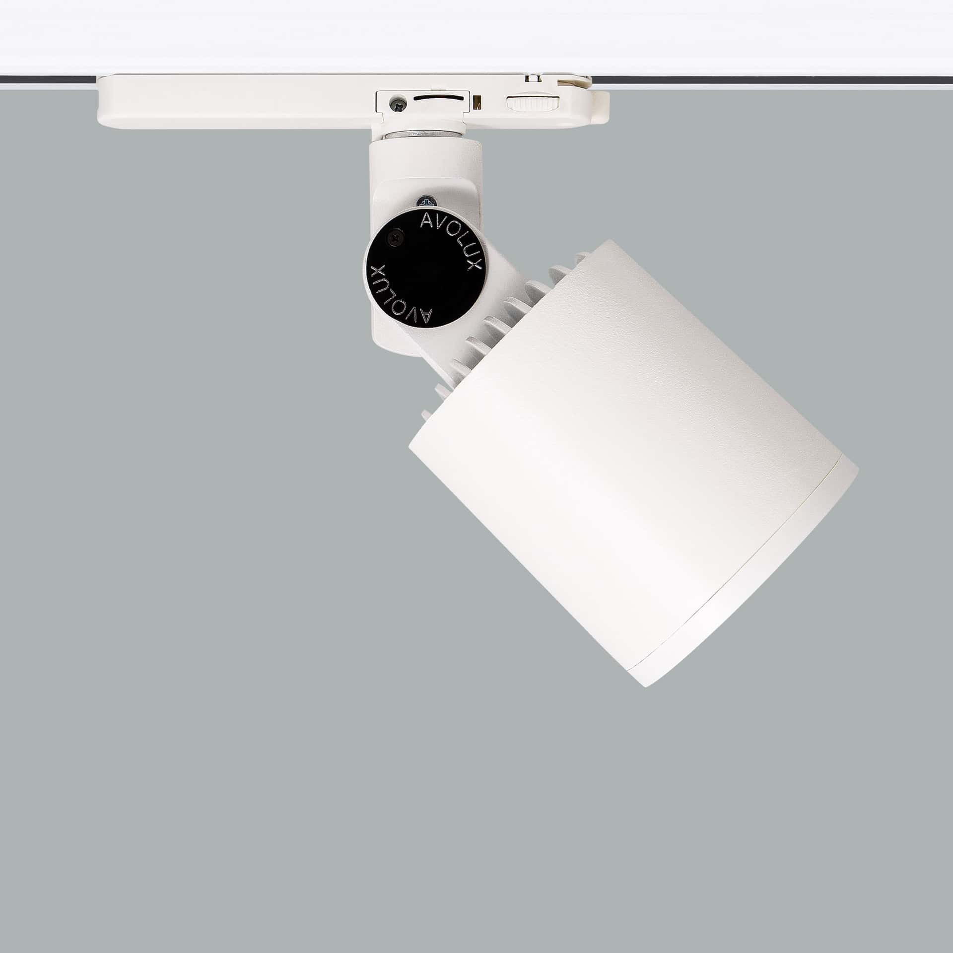 Mini Lale Deco - image 6