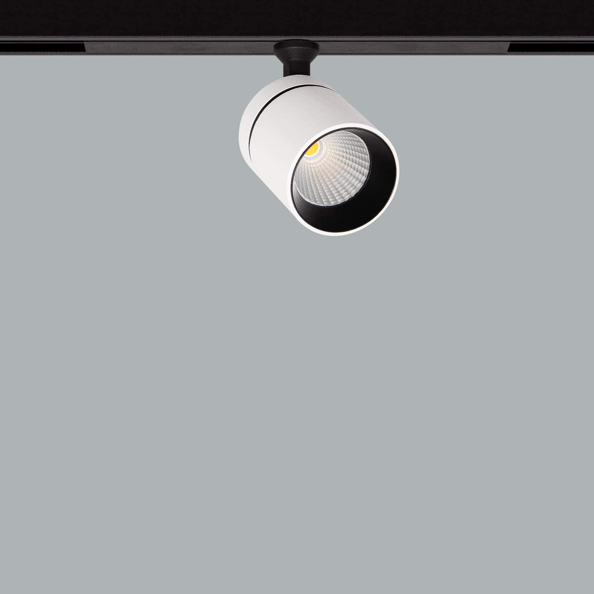 Firefly 48V Mini
