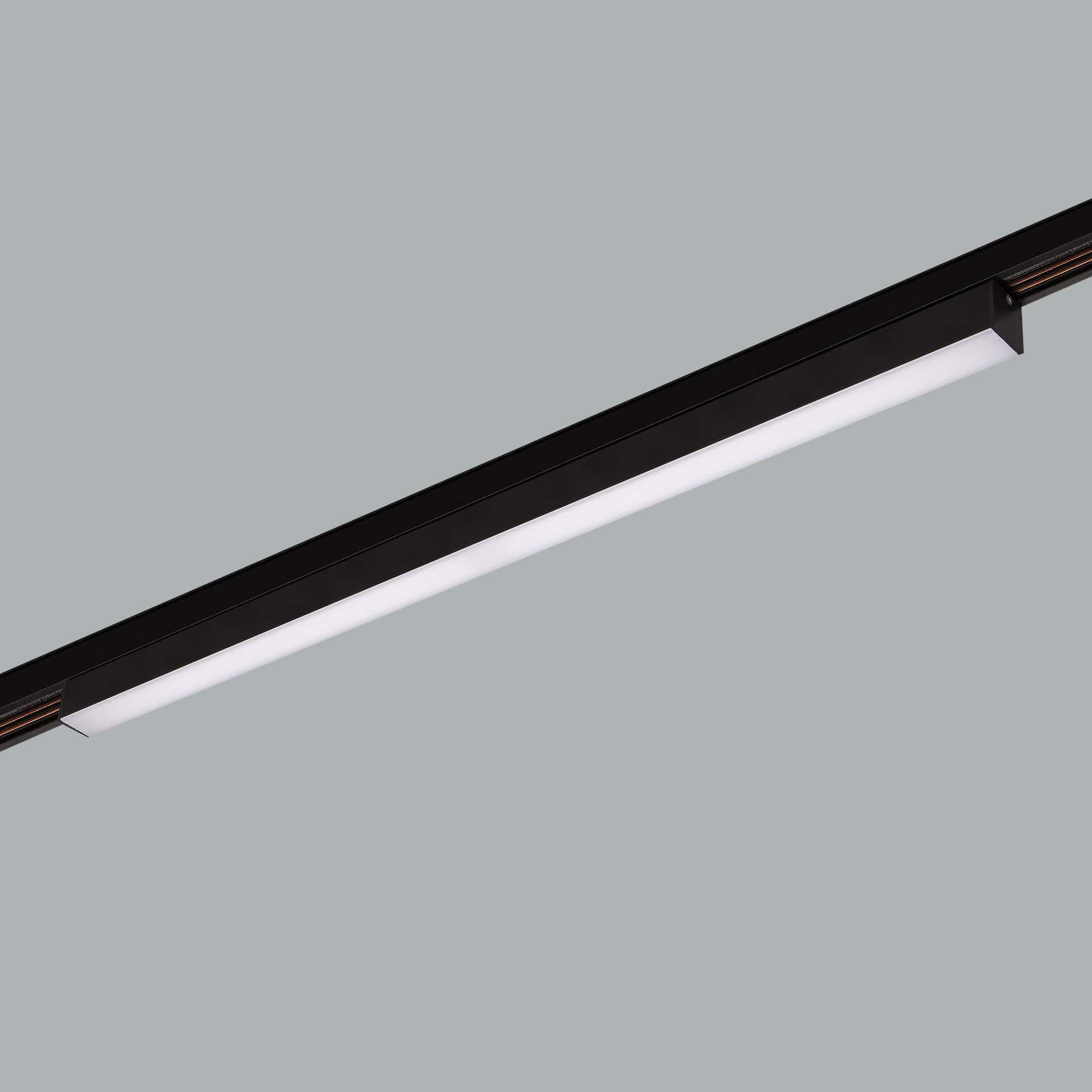 Sword Track 48V