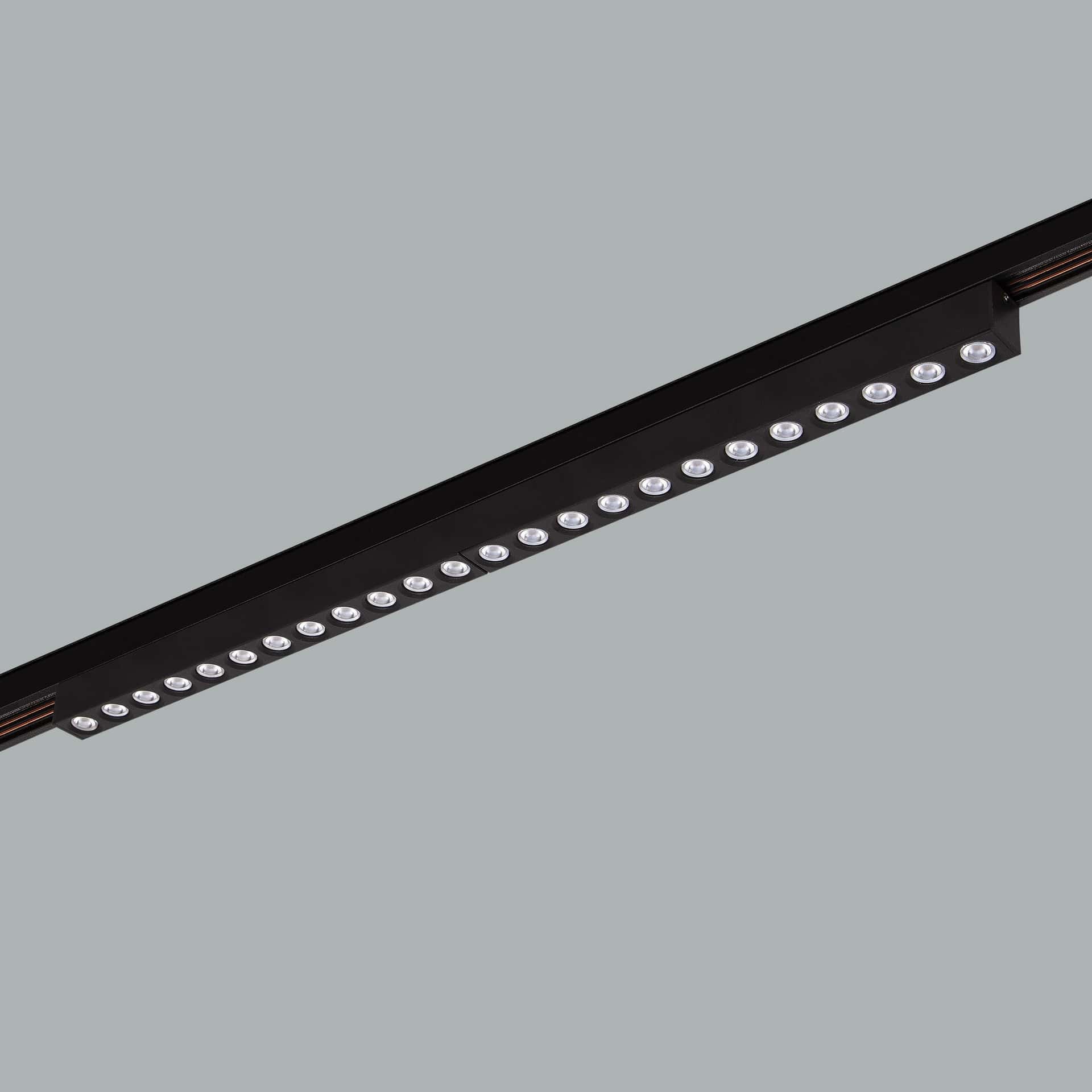 Sword Track 48V