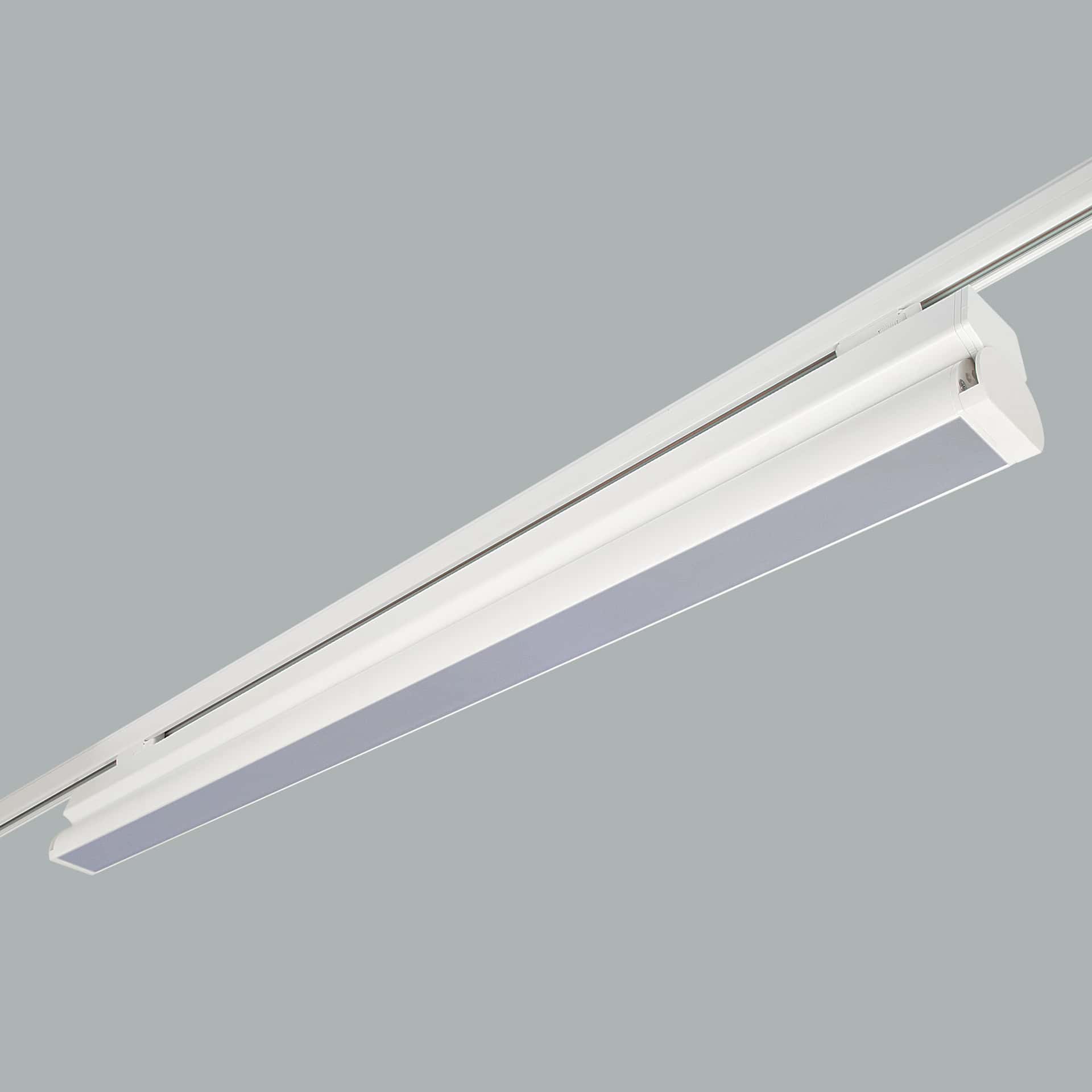 Rood Track Mounted