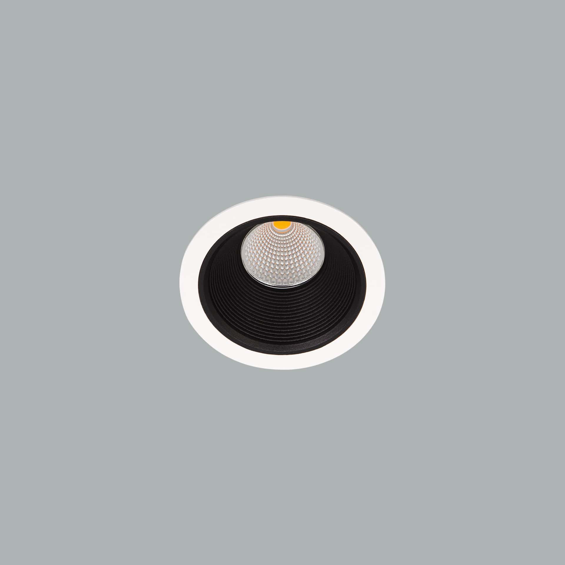 Darklight