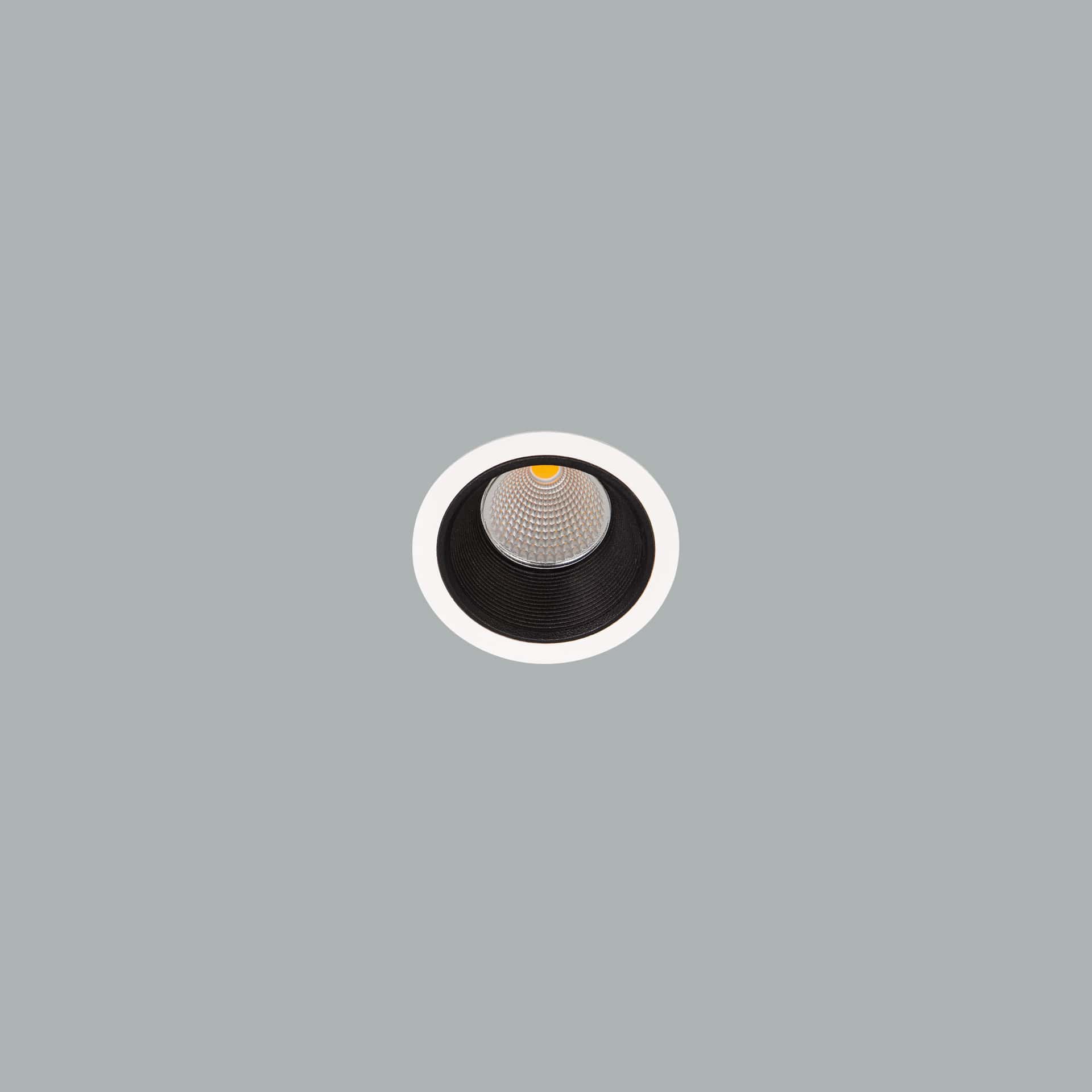 Darklight