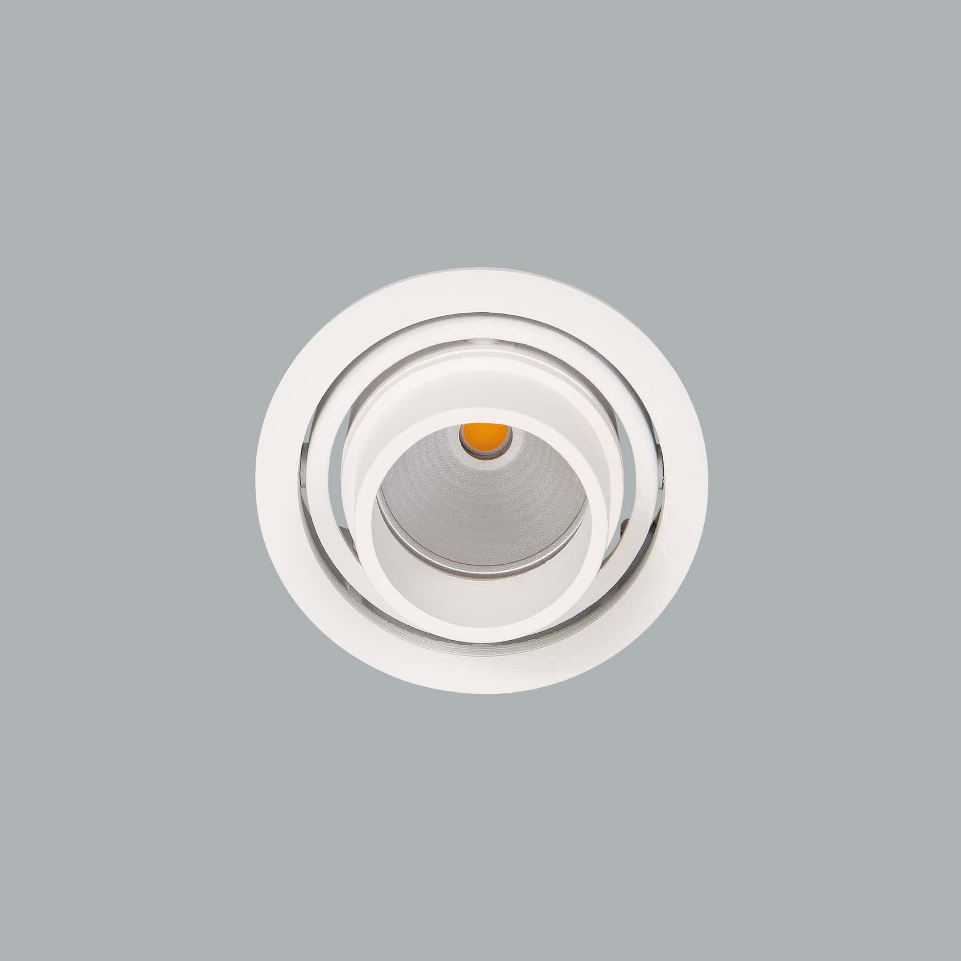Luxon Focus