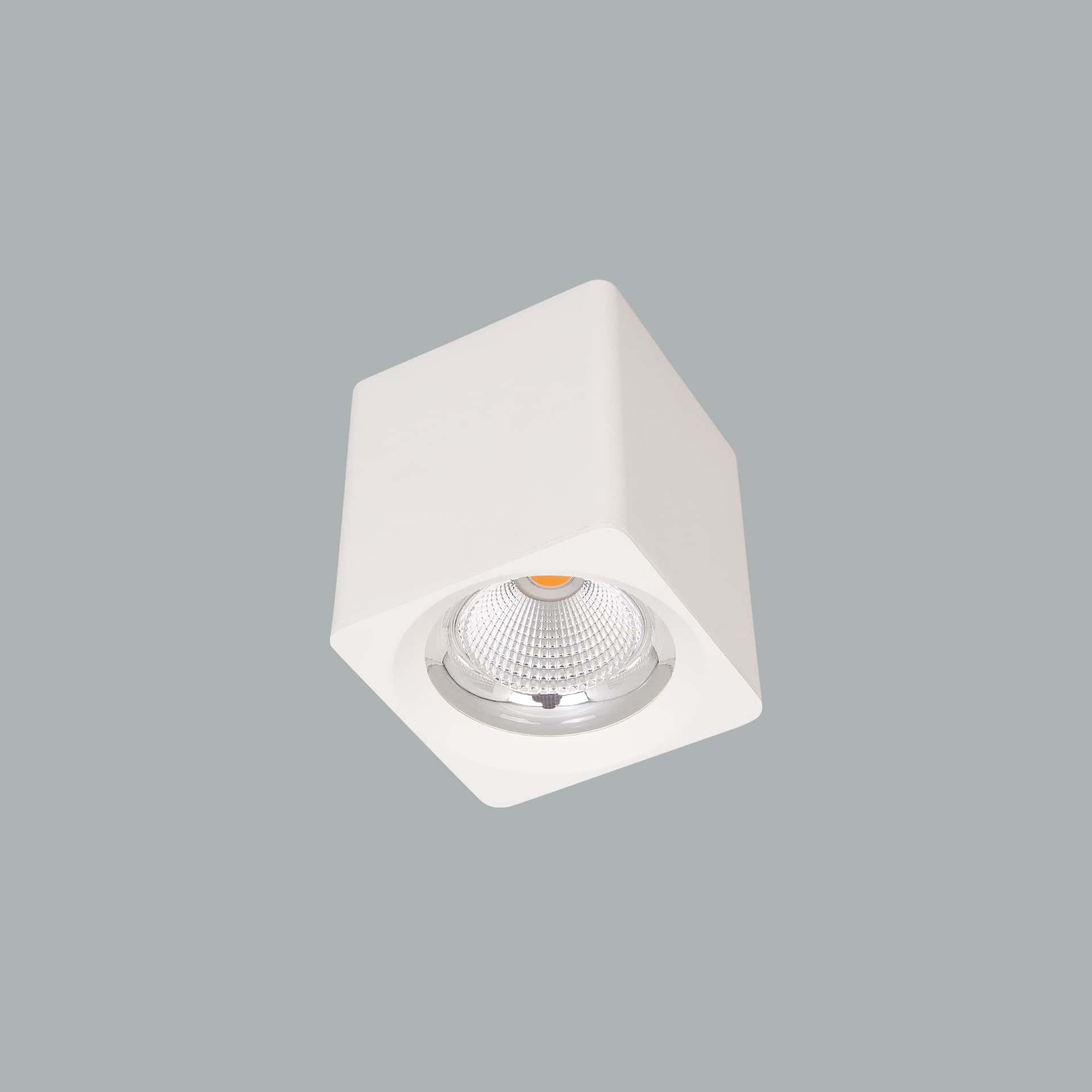 Venus Mini