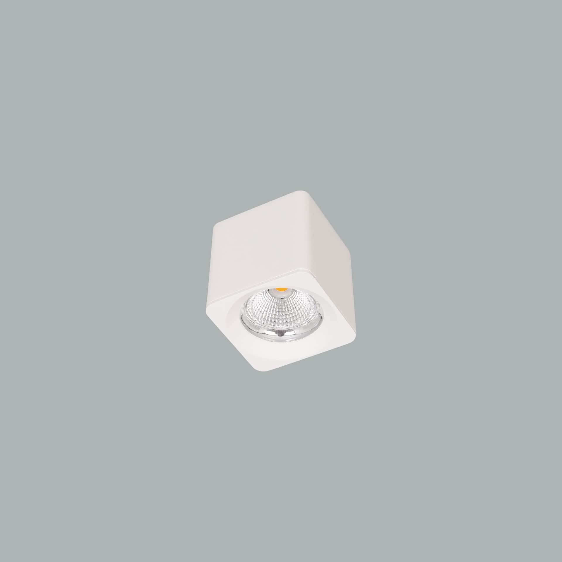 Venus Micro