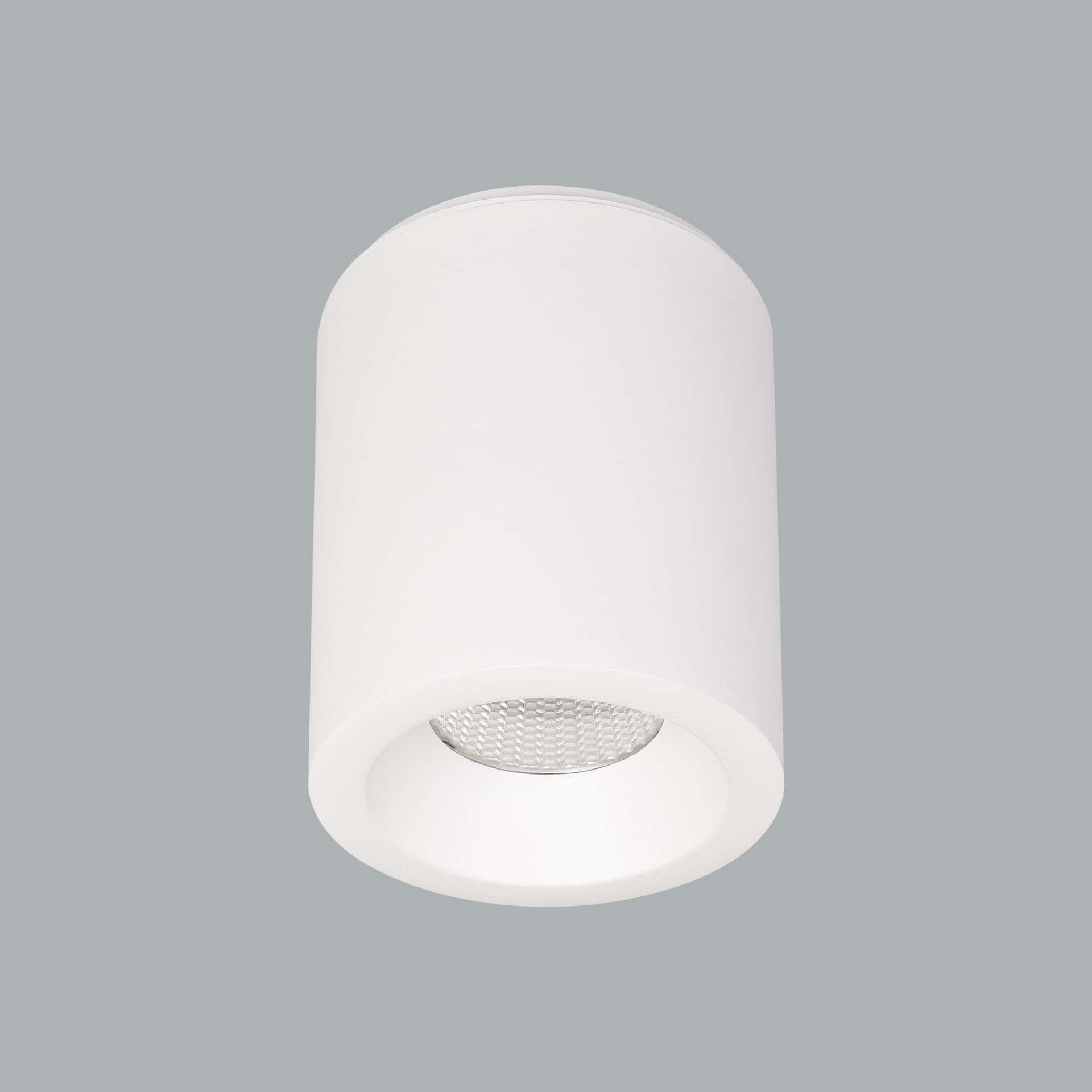 Cub Maxi Surface