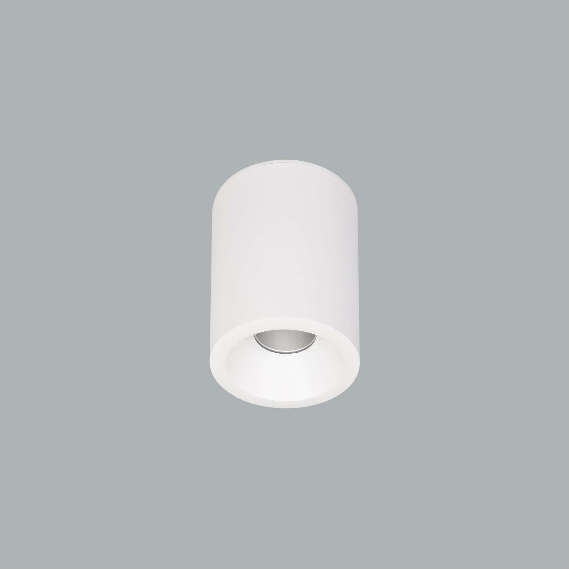 Cub Mini Surface