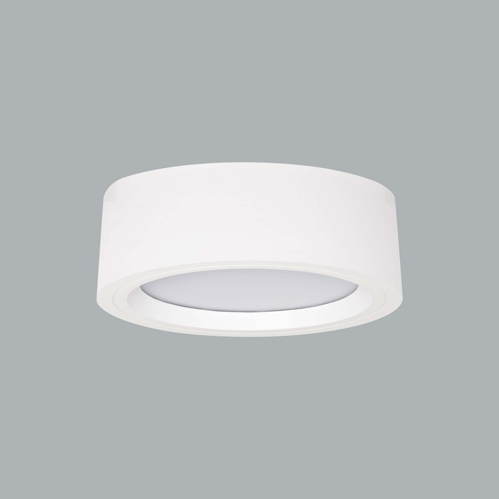 Neptun Maxi Surface