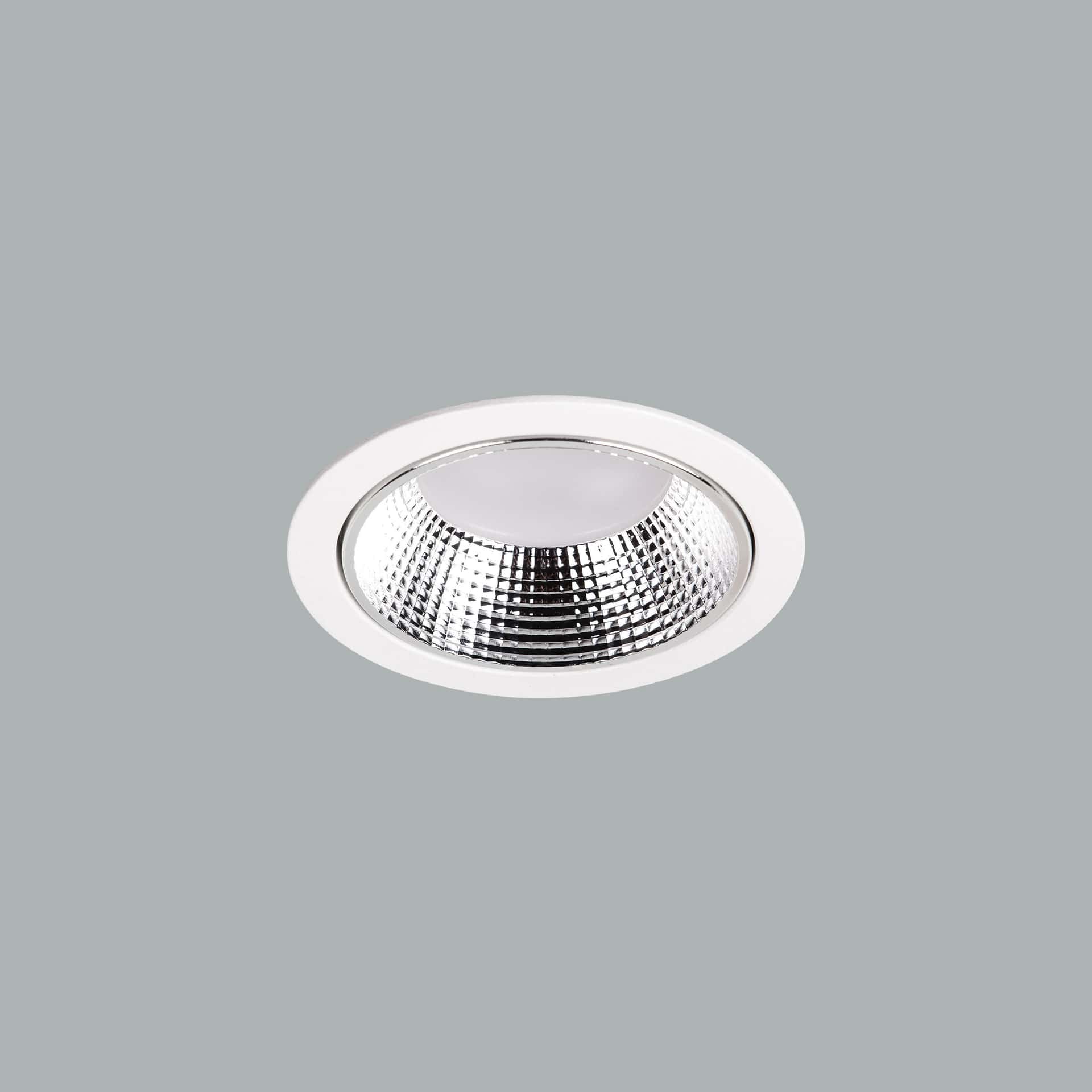 Leila Midi Downlight