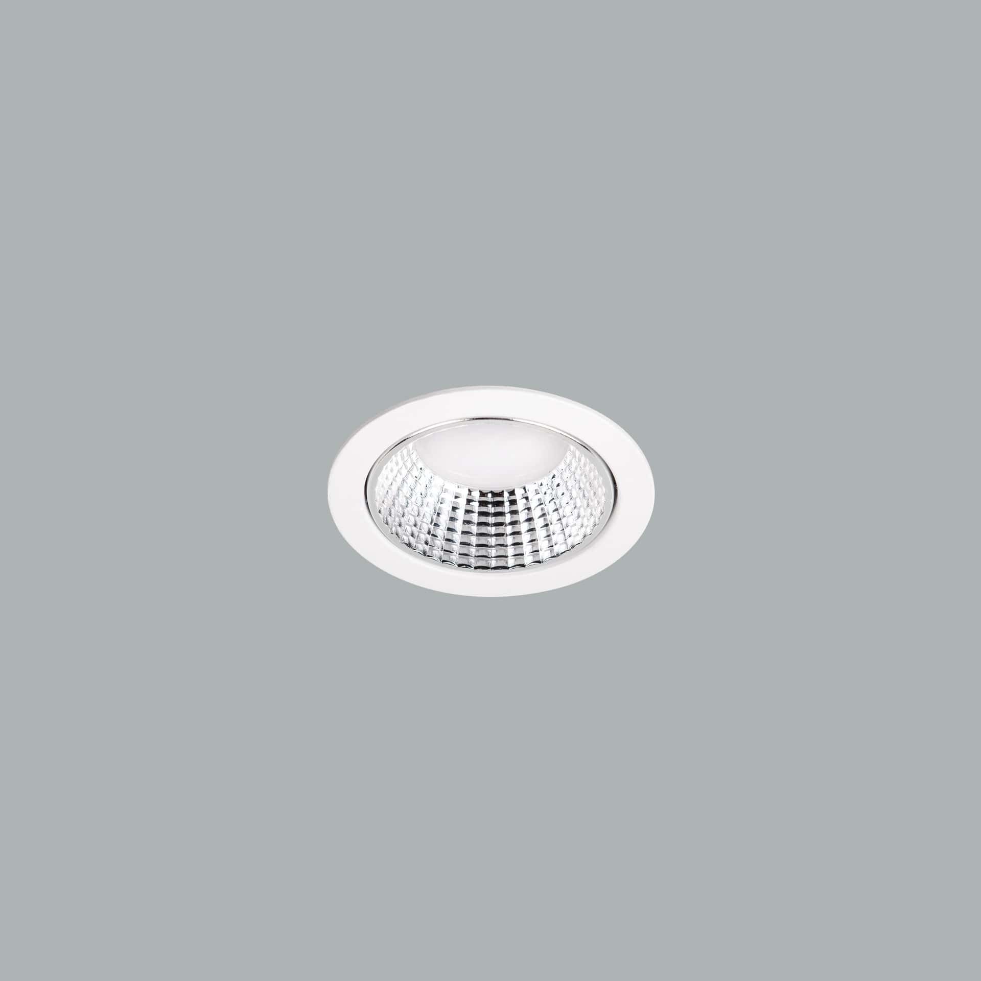 Leila Mini Downlight