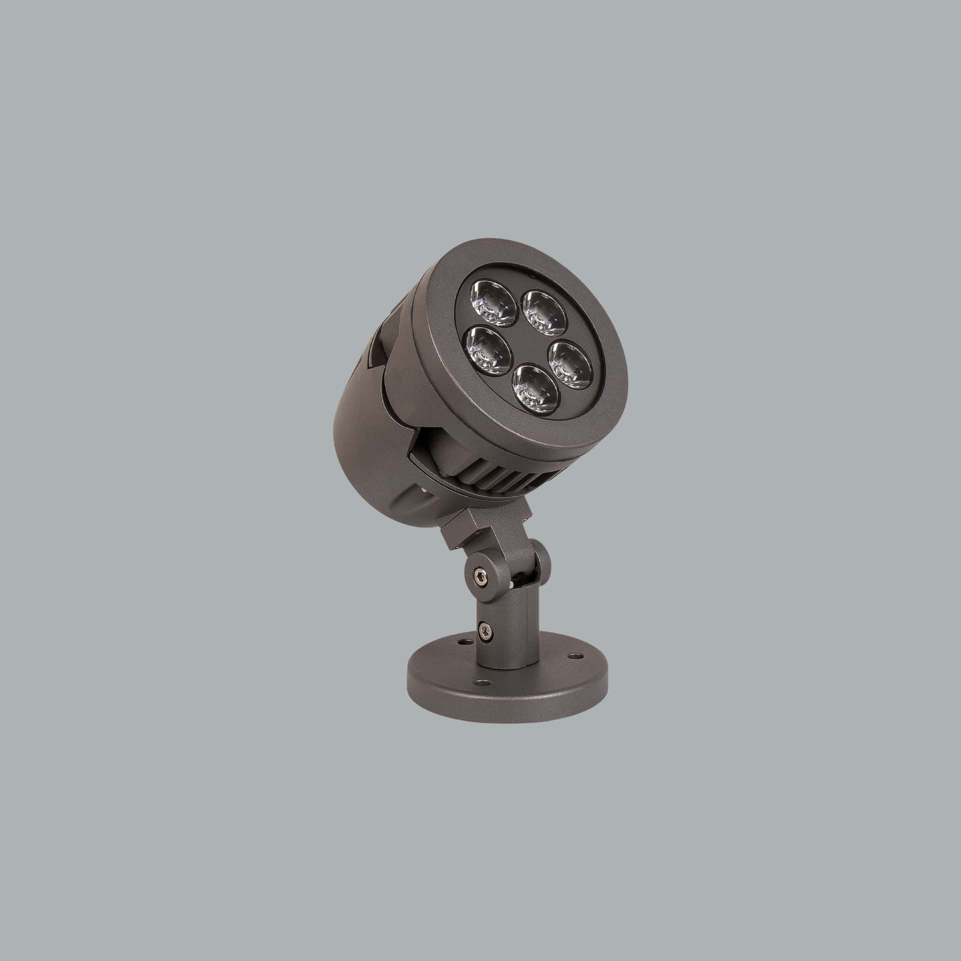 Panda Midi Focus