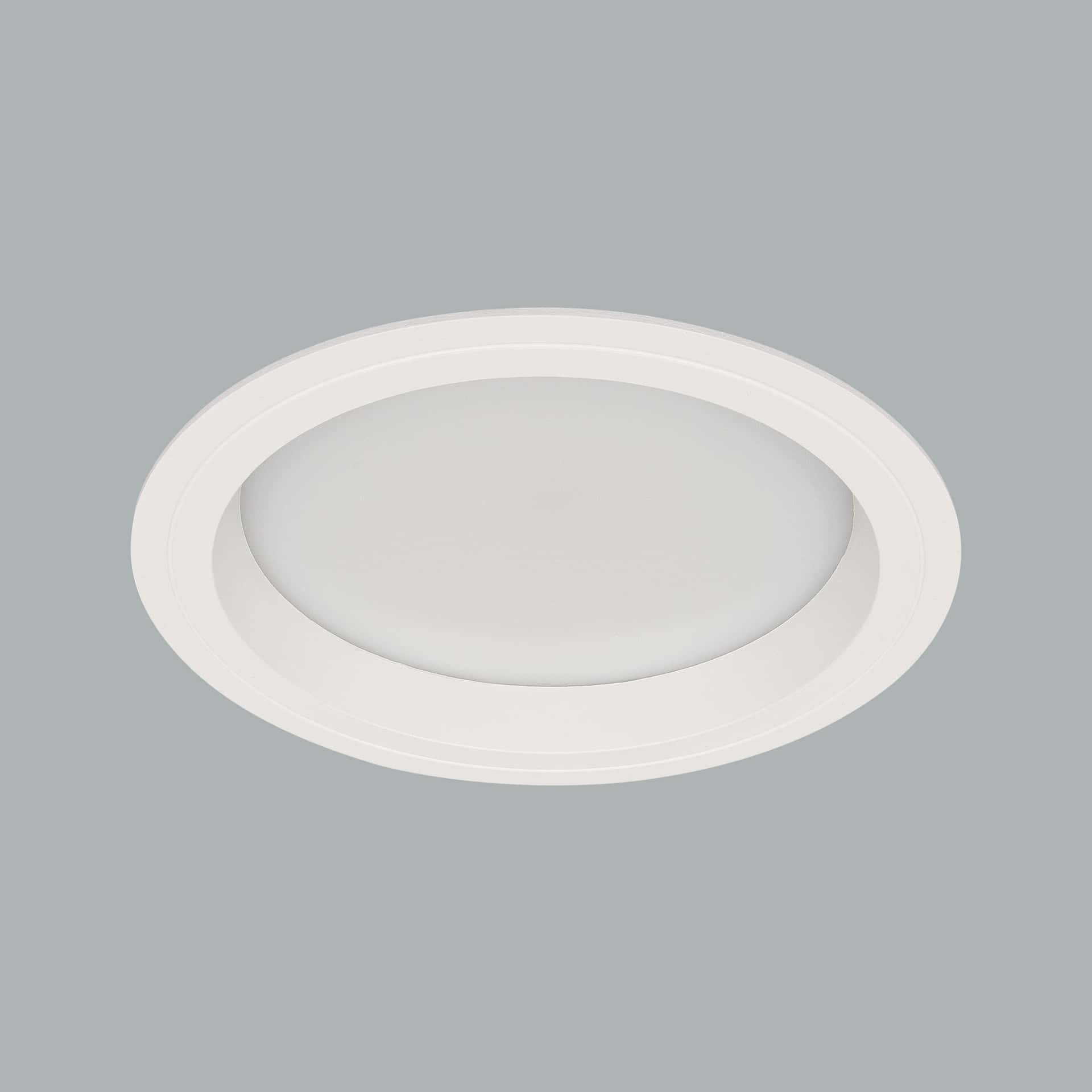 Neptun Mega Downlight