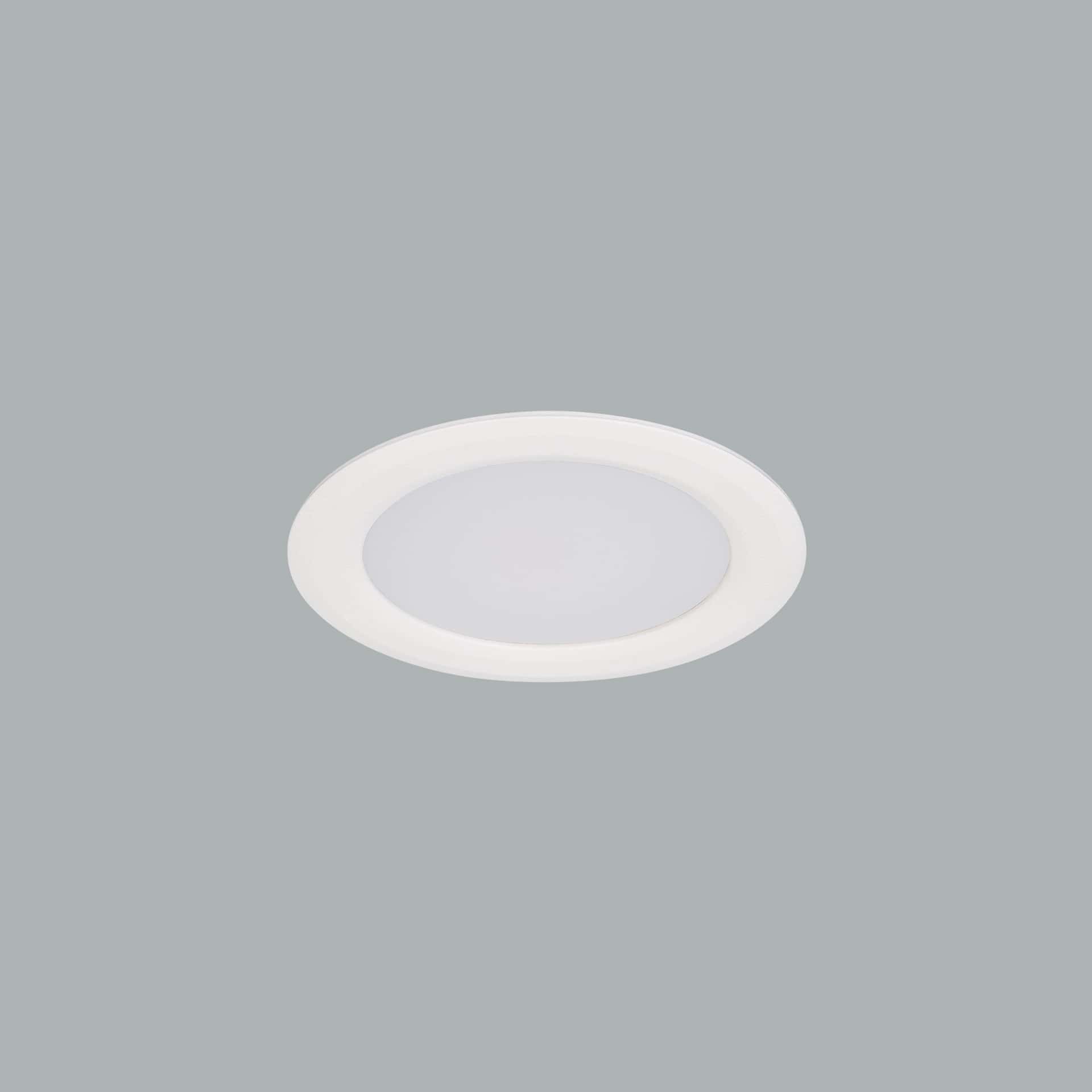 Leila Mini Downlight