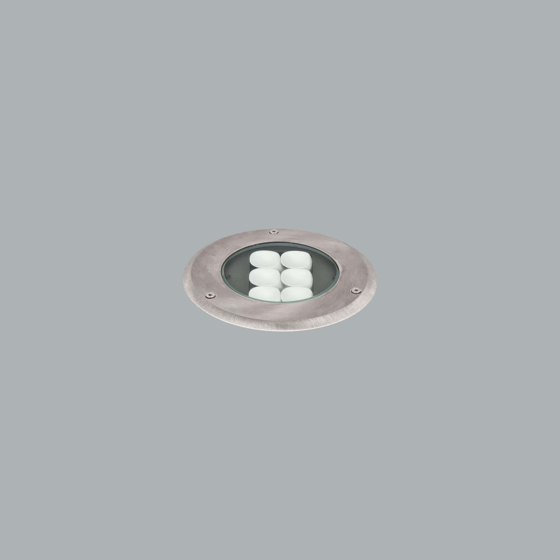 Flora Mini ASM
