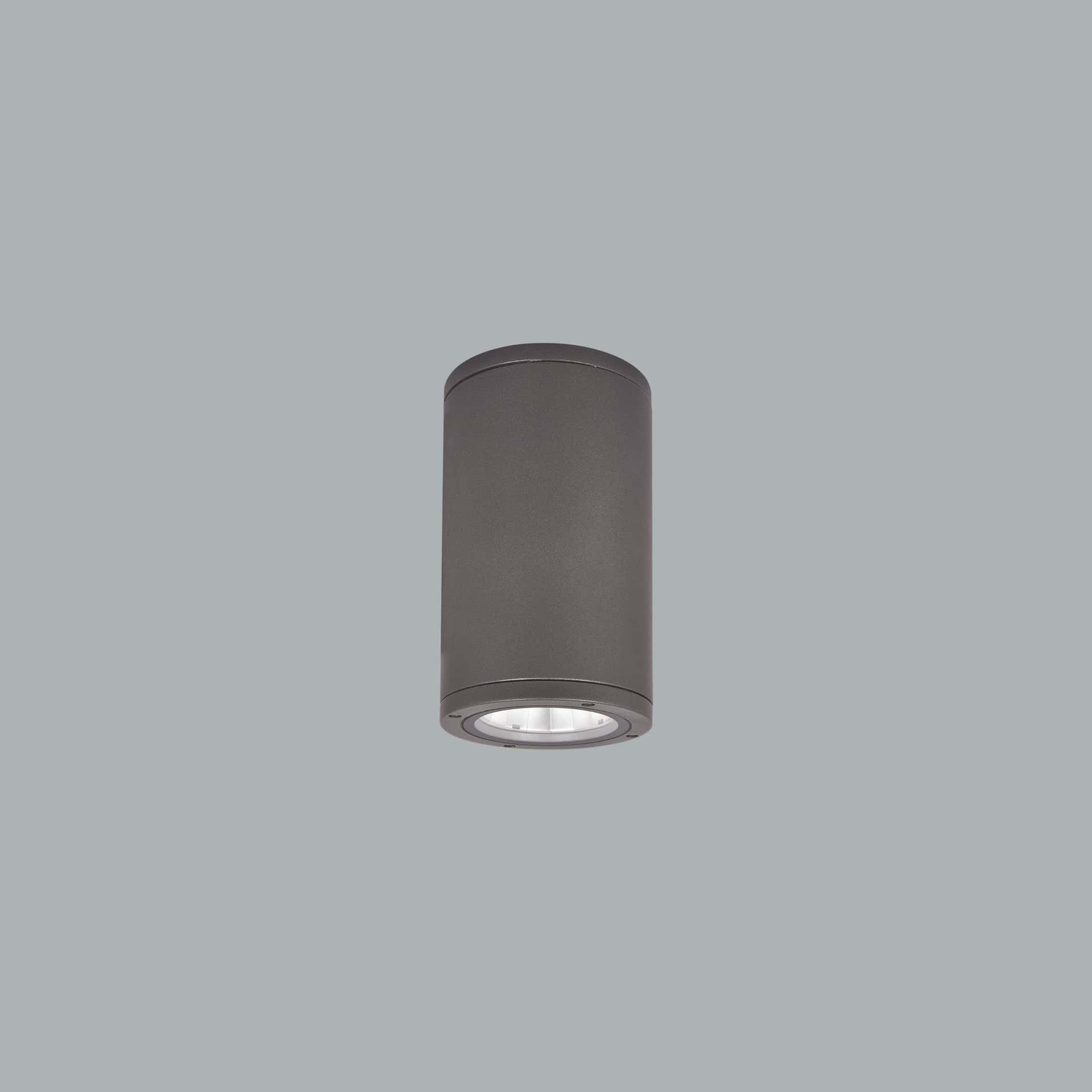Koala Midi Surface