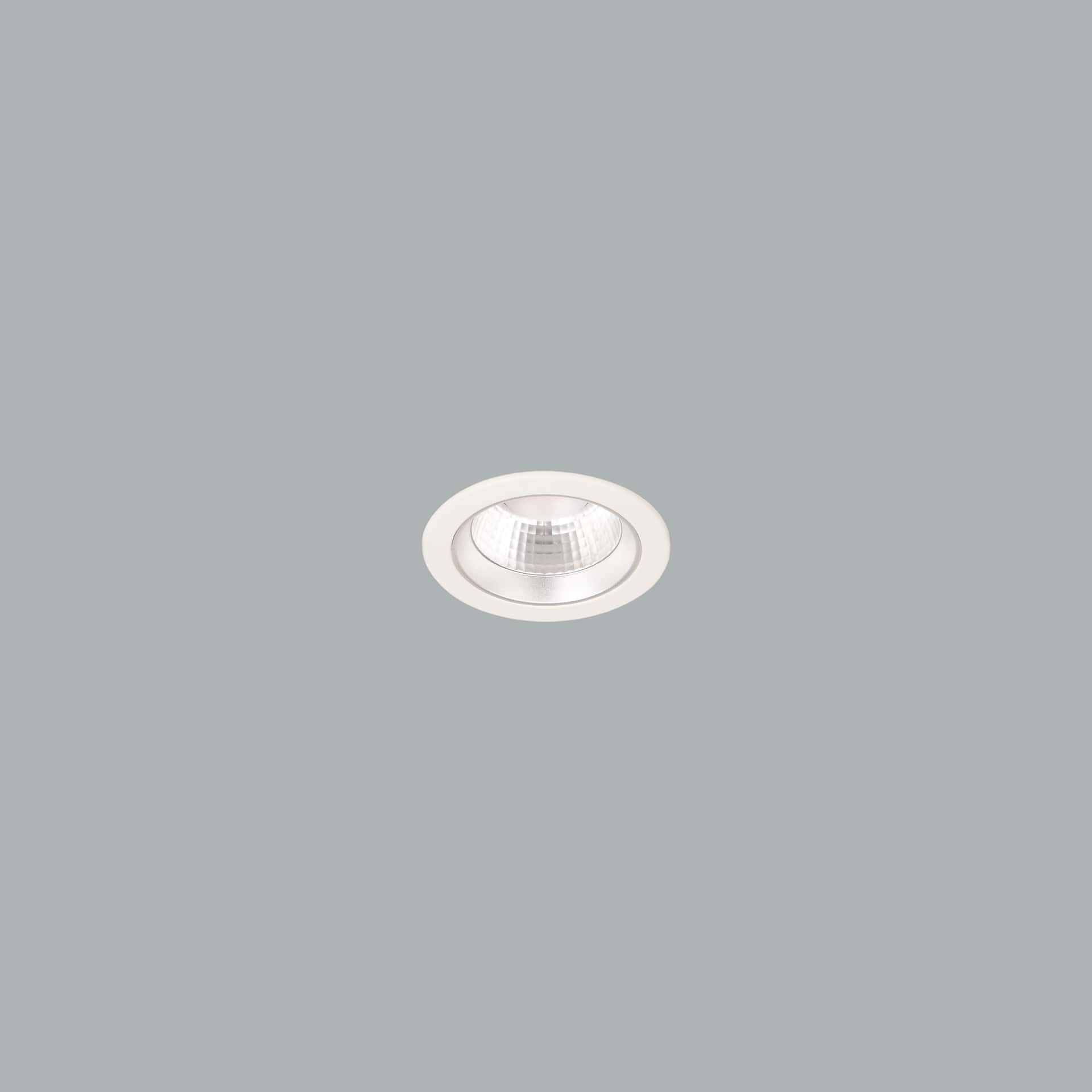 Lora 113 Downlight