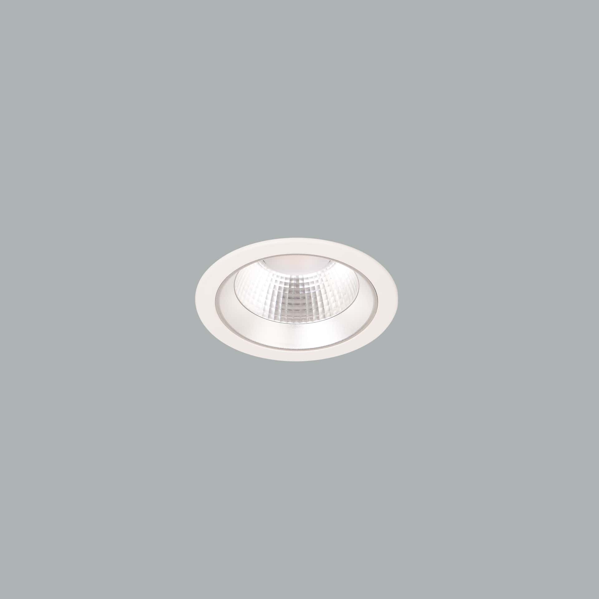 Lora 145 Downlight