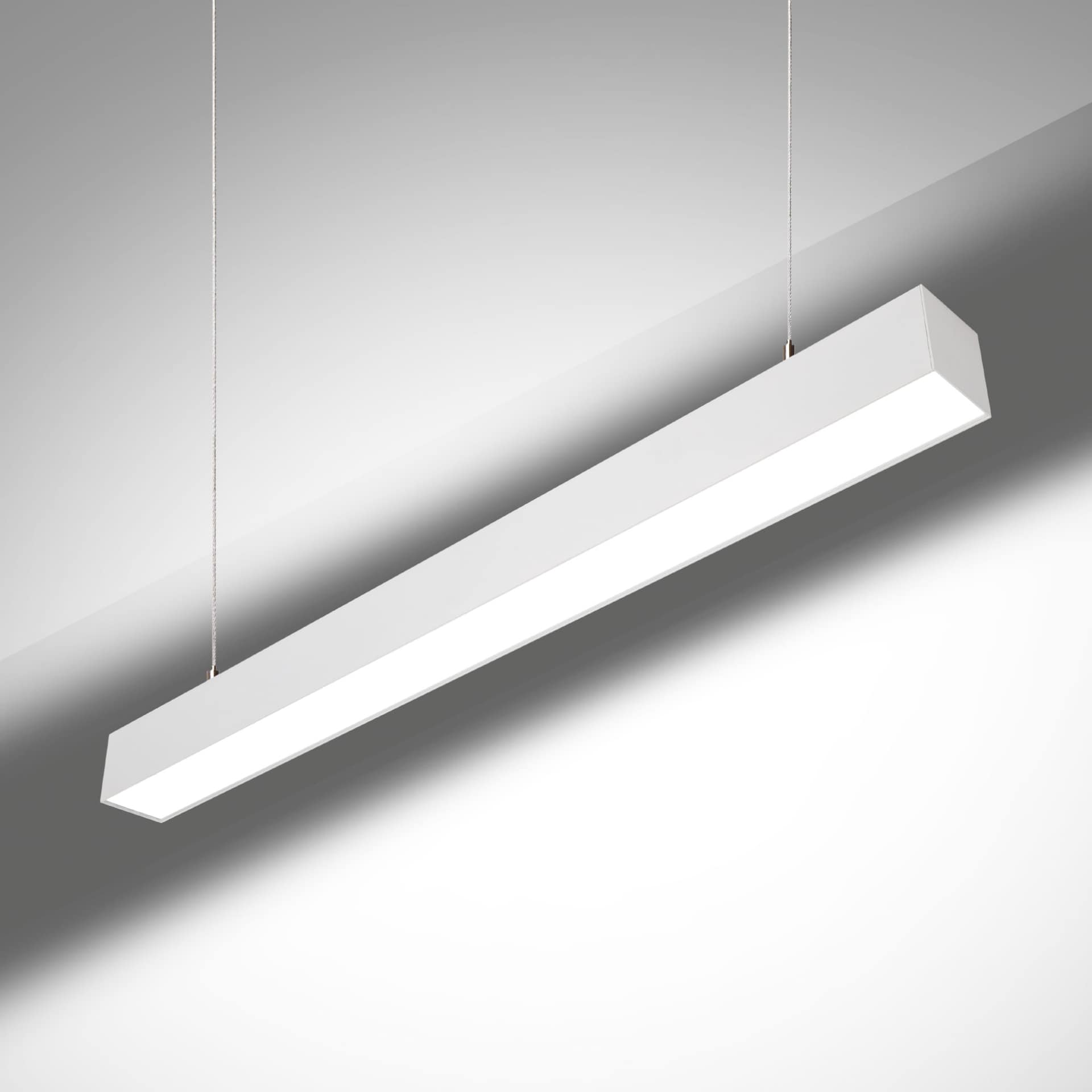 Cubus Direct / Indirect