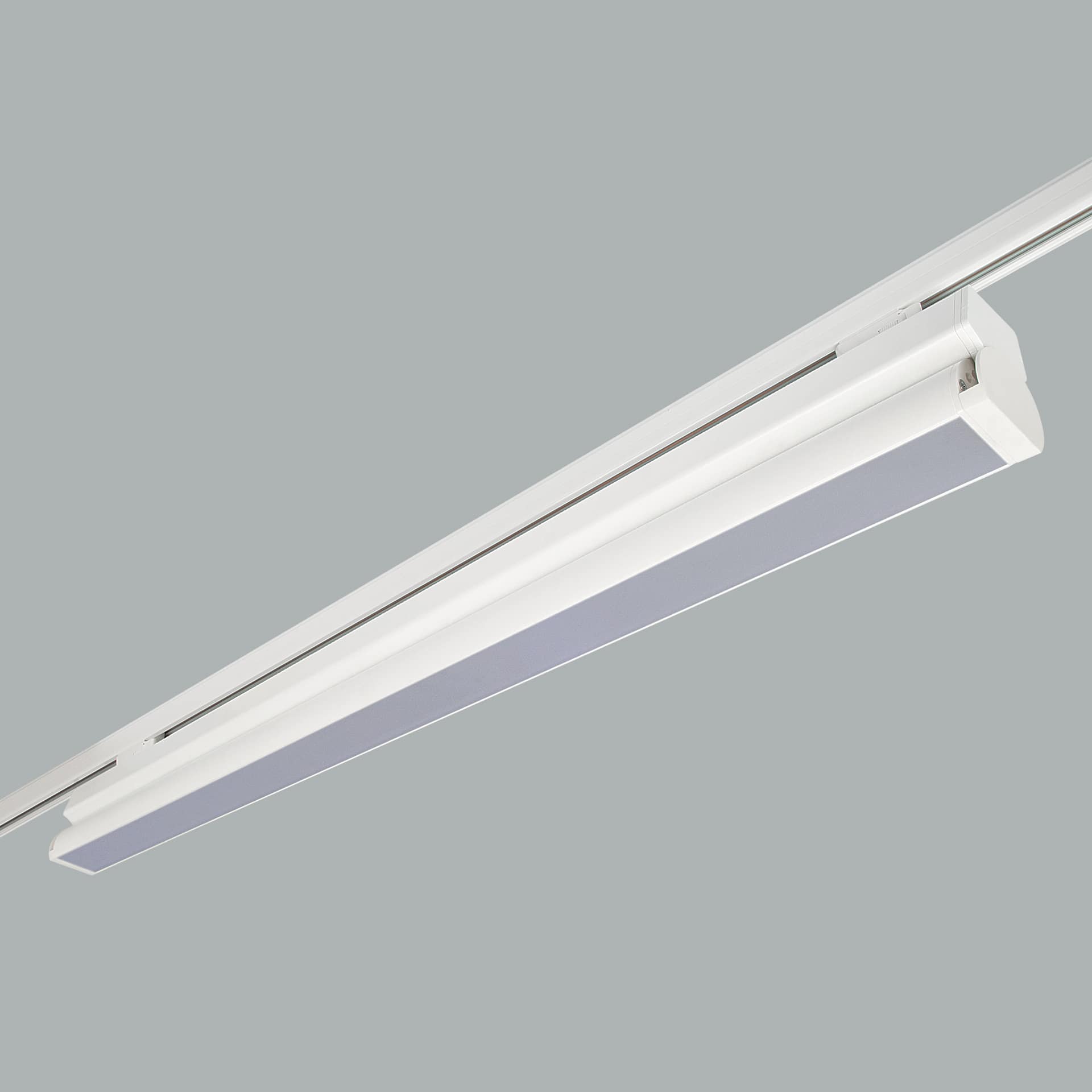 Rood Track Mounted
