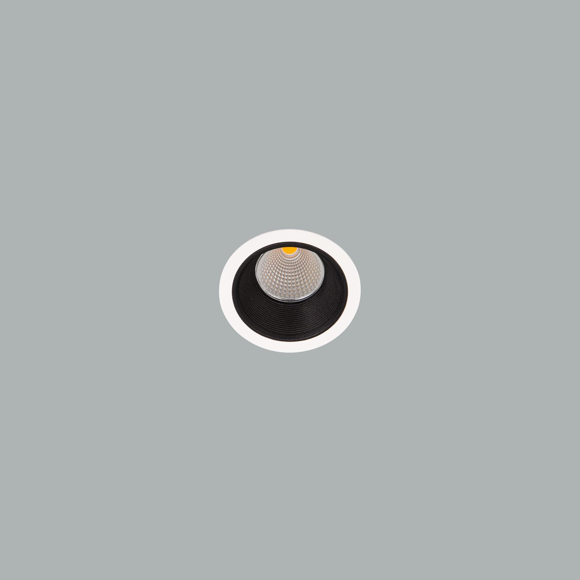 Darklight