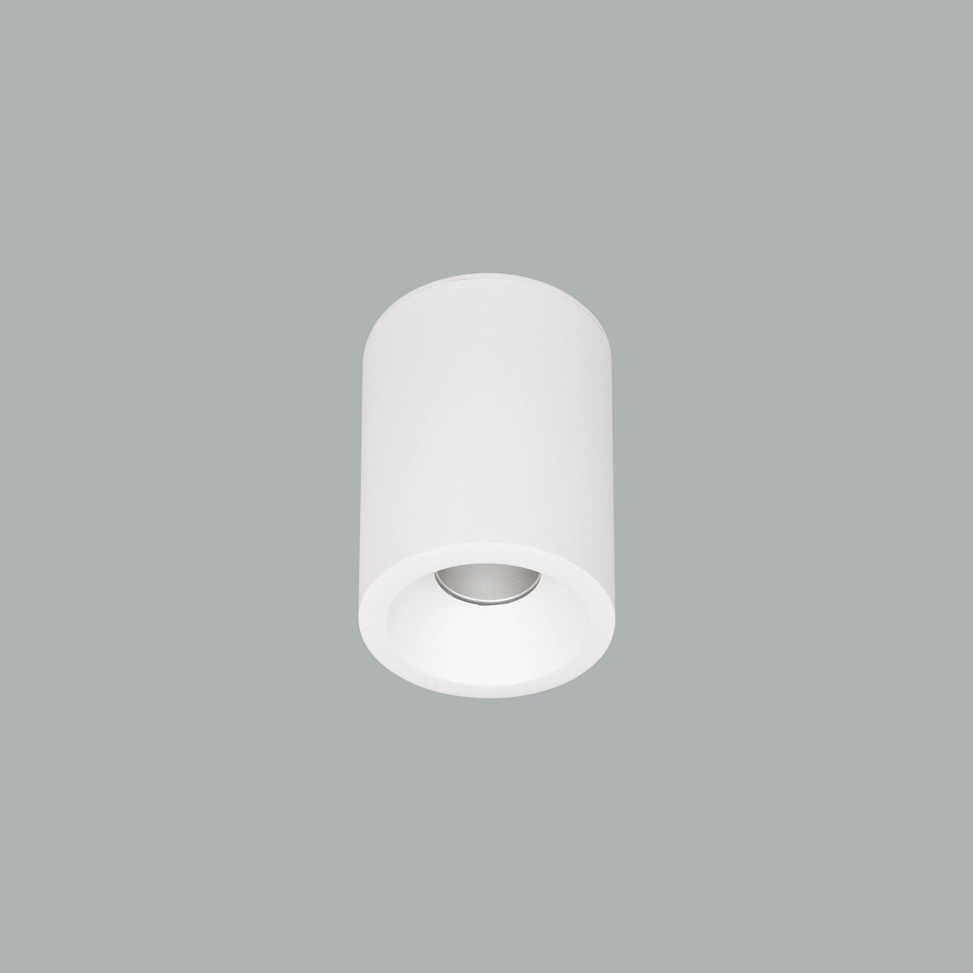 Cub Mini Surface