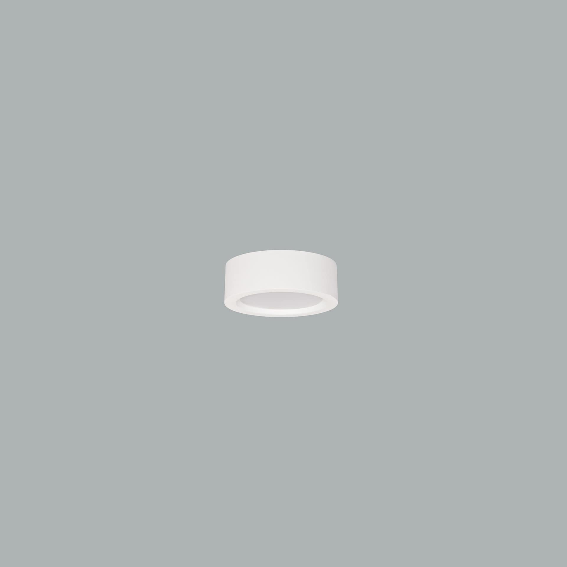 Neptun Mini Surface