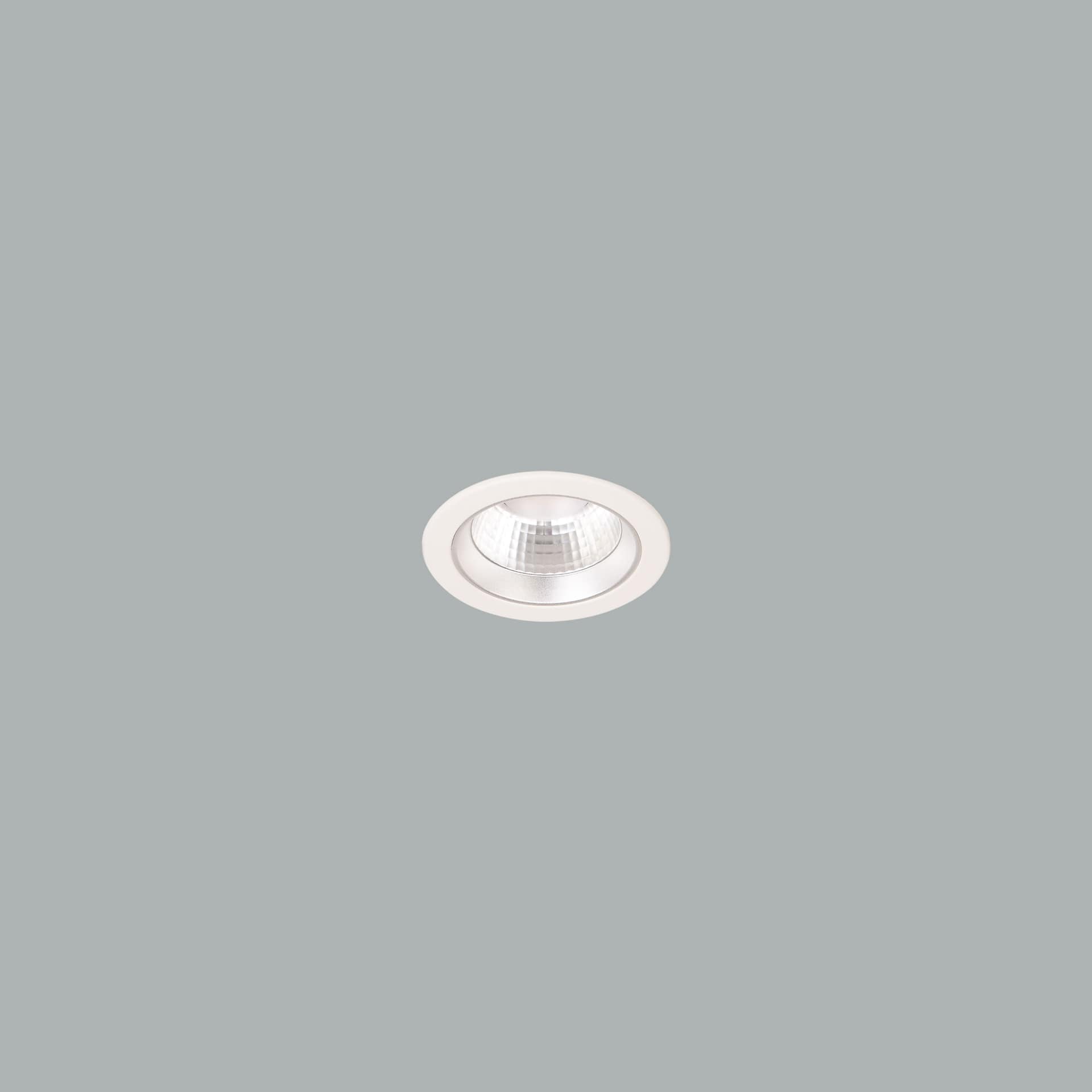 Lora 113 Downlight