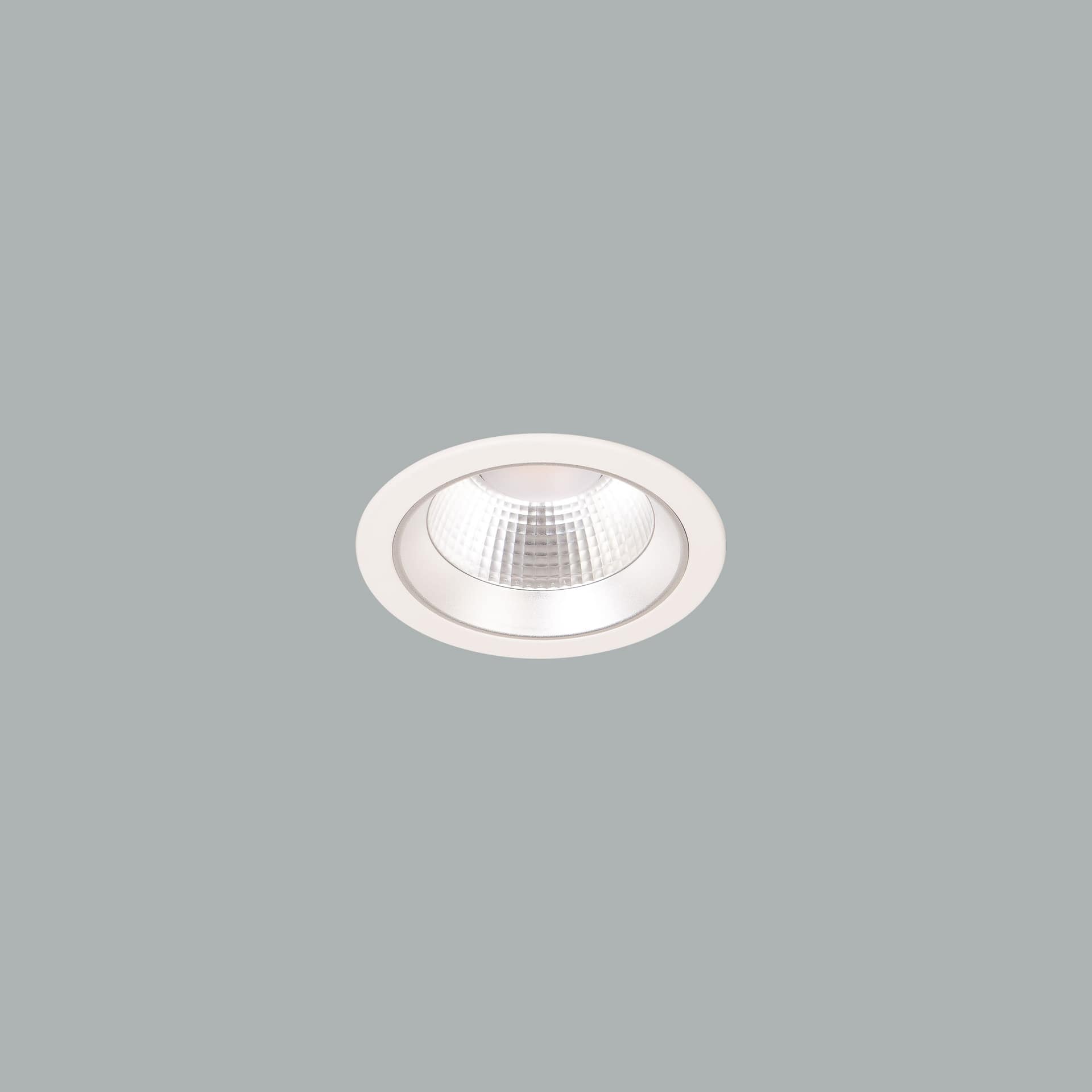 Lora 145 Downlight
