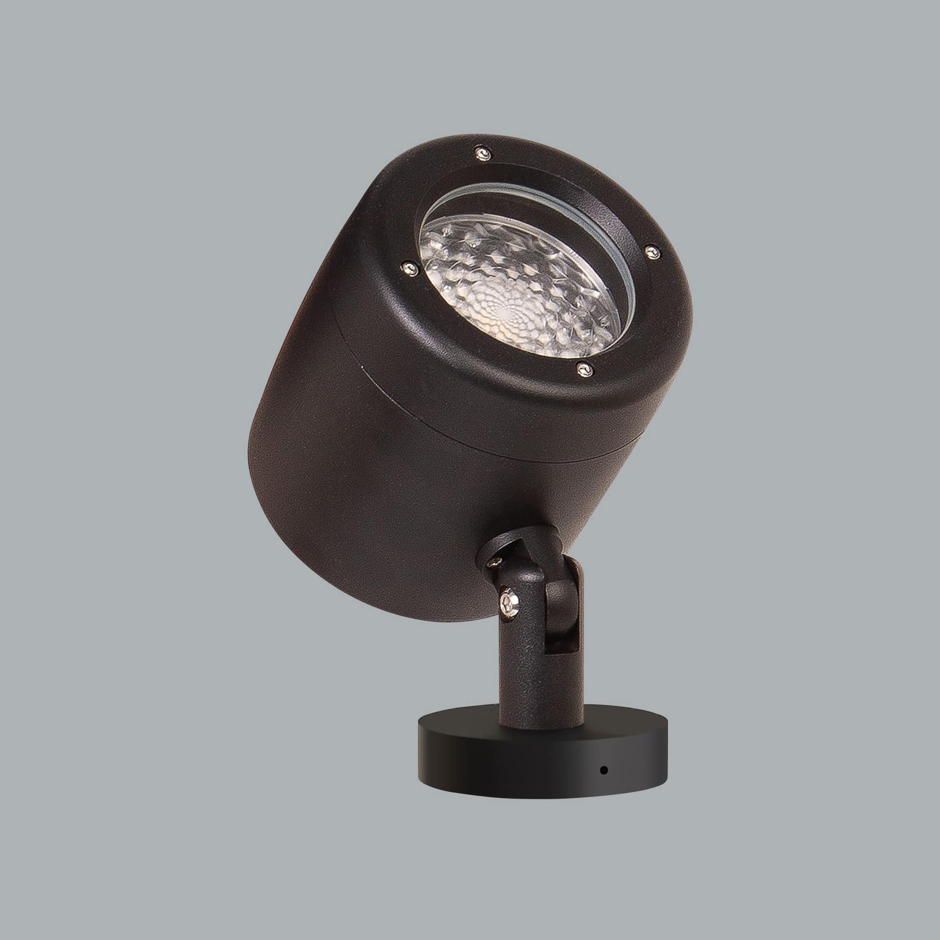 Prozoom Maxi