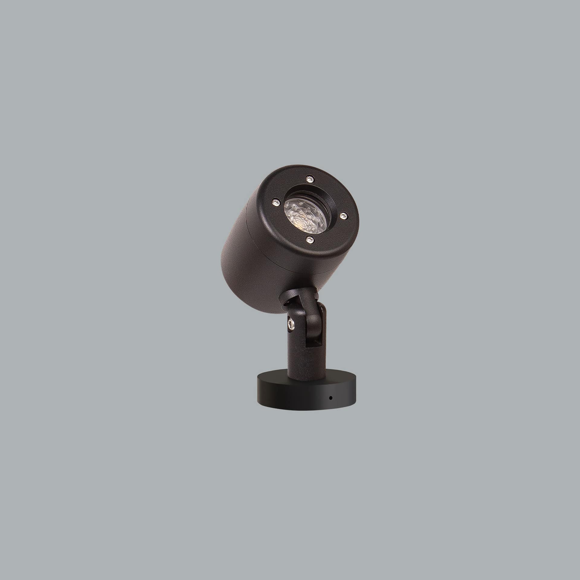 Prozoom Mini