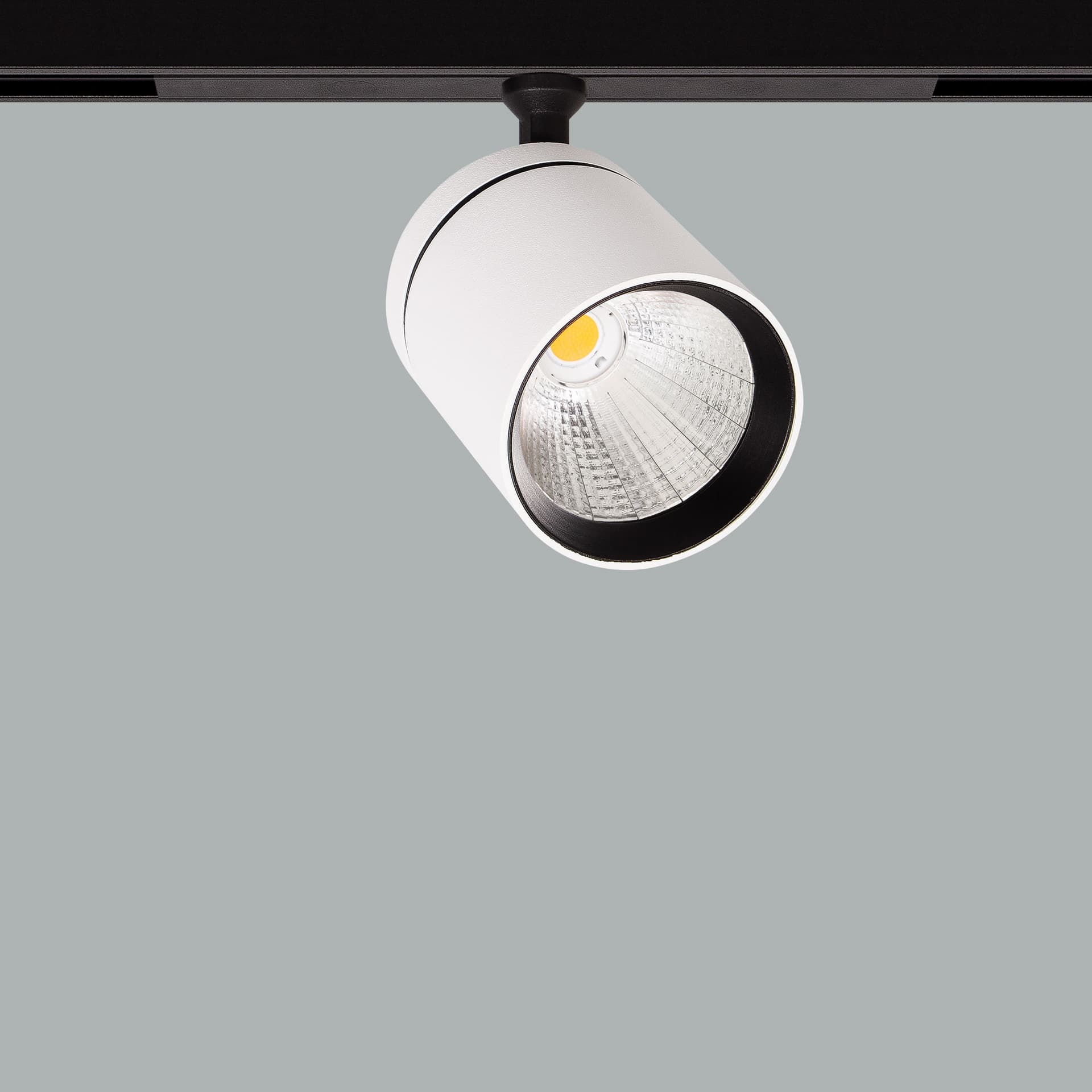Firefly 48V Maxi