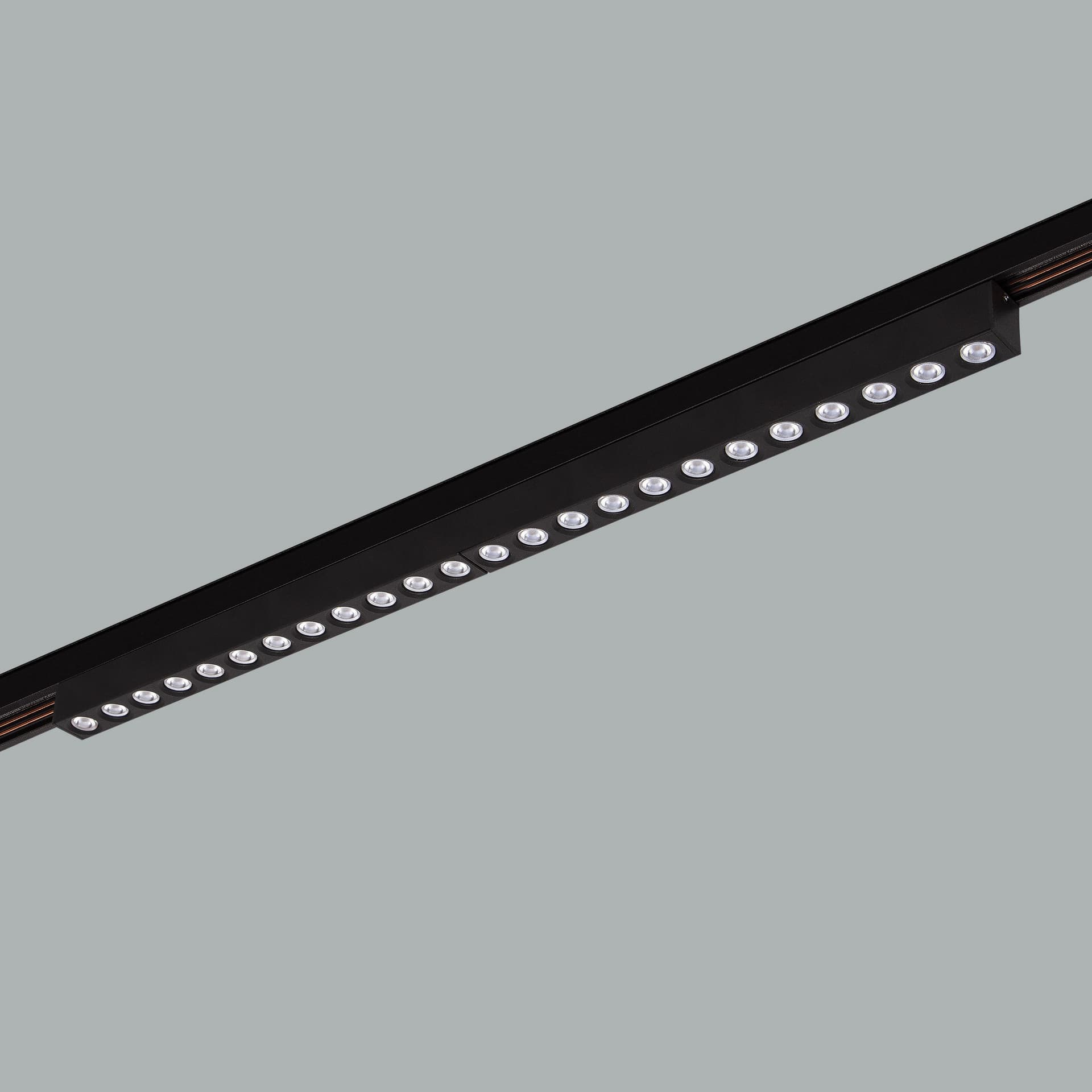 Sword Track 48V