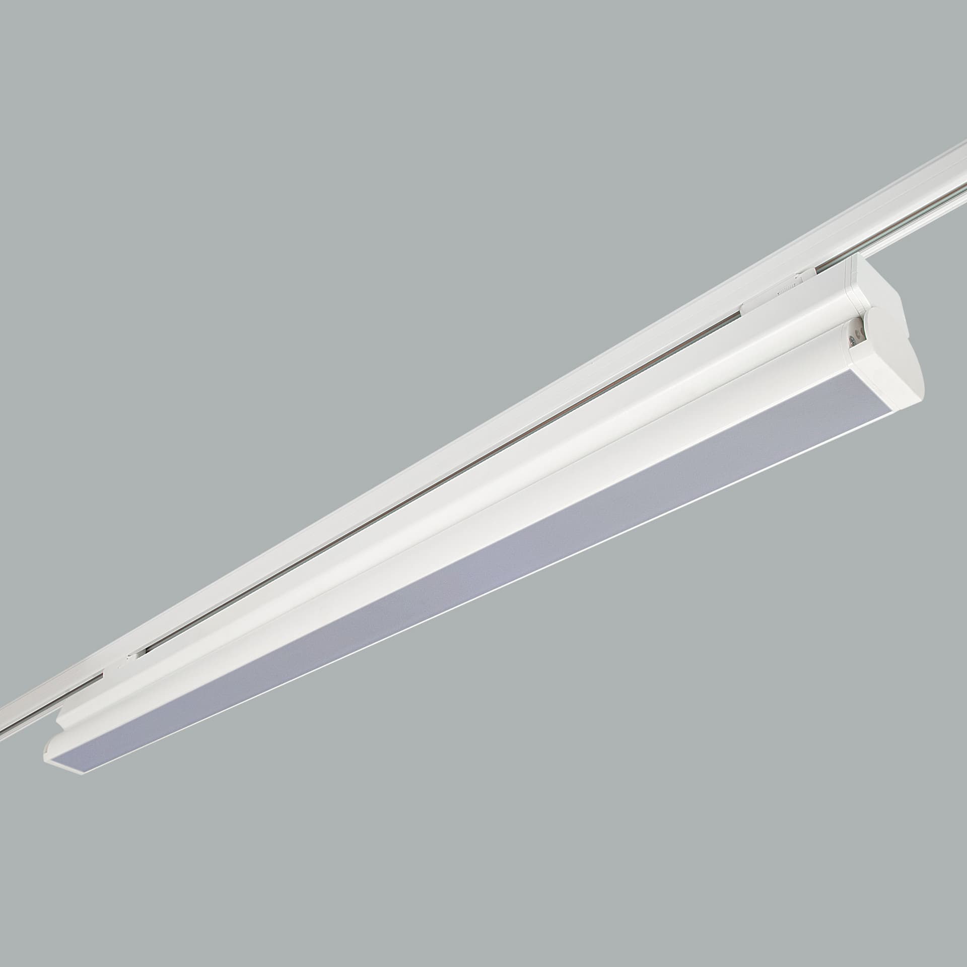 Rood Track Mounted