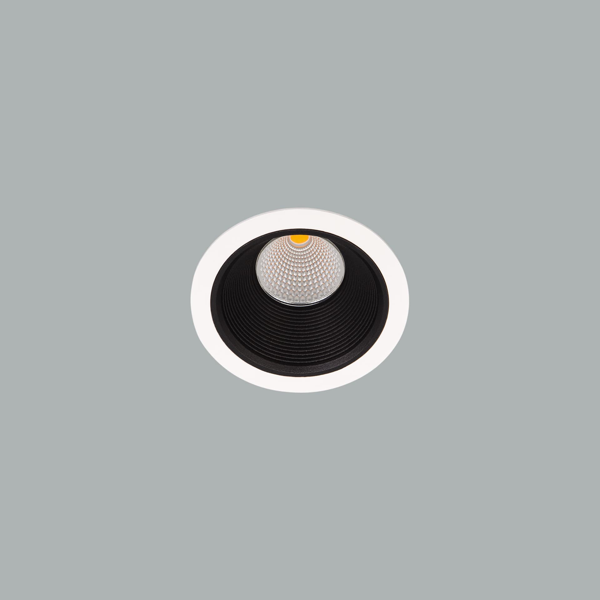 Darklight