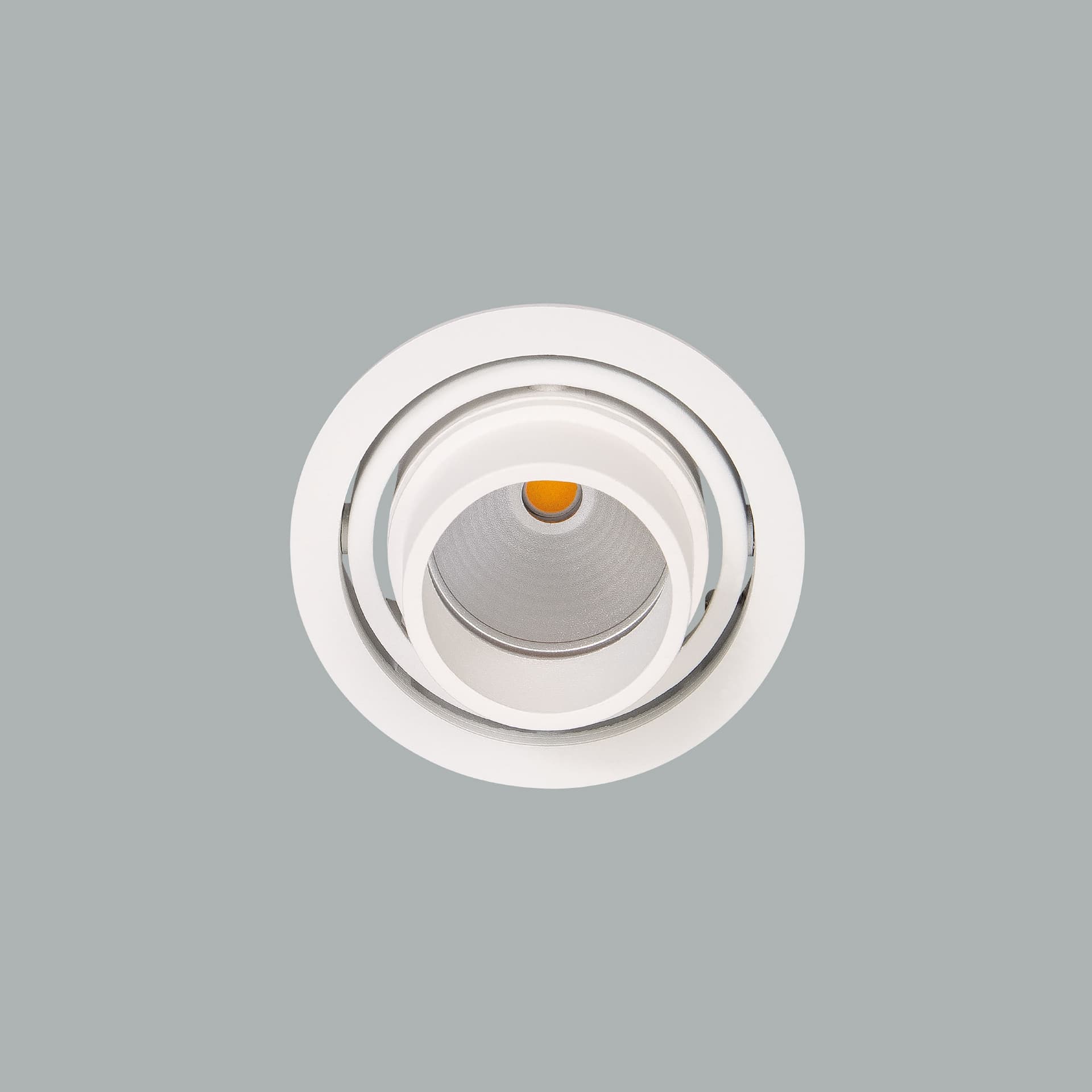 Luxon Focus