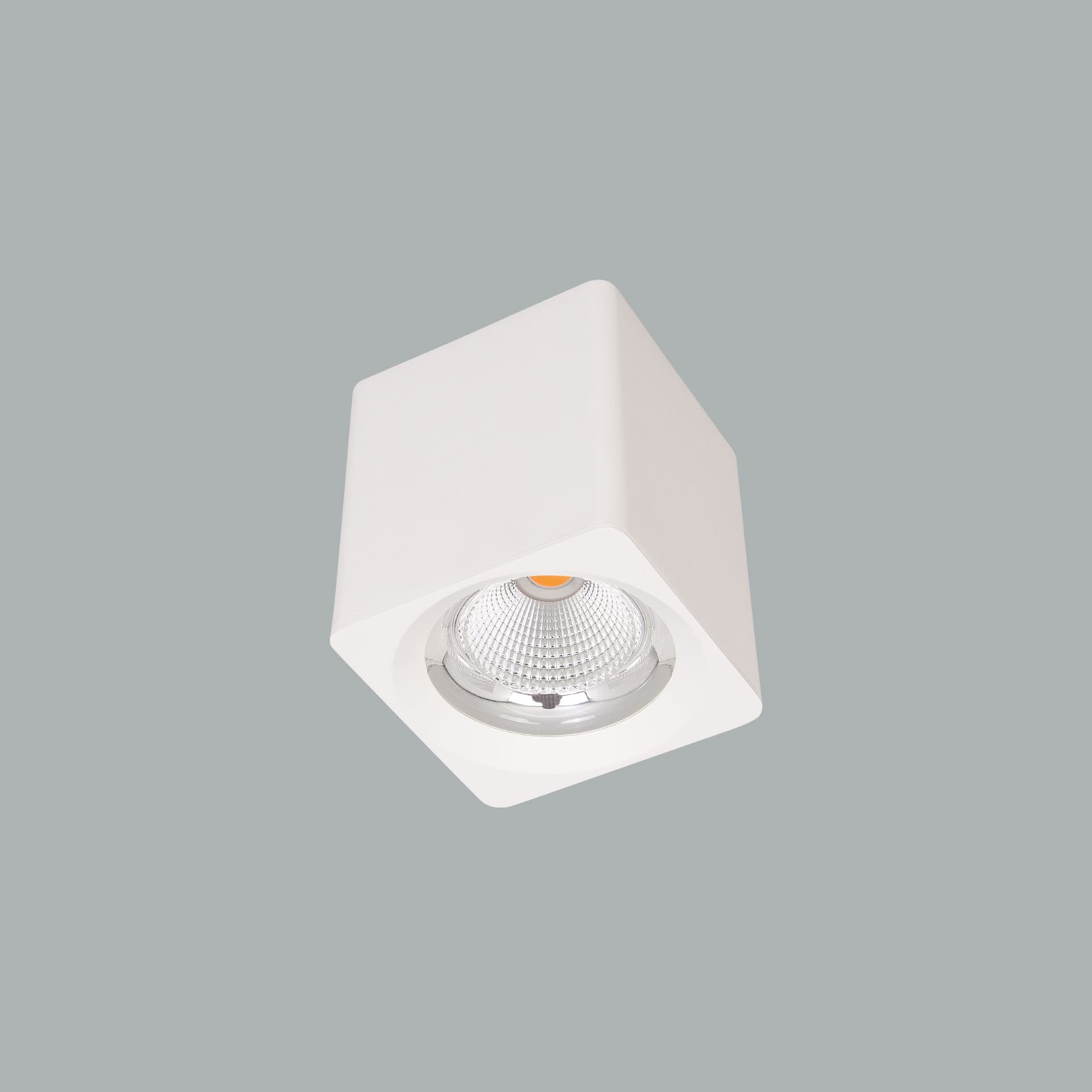 Venus Mini