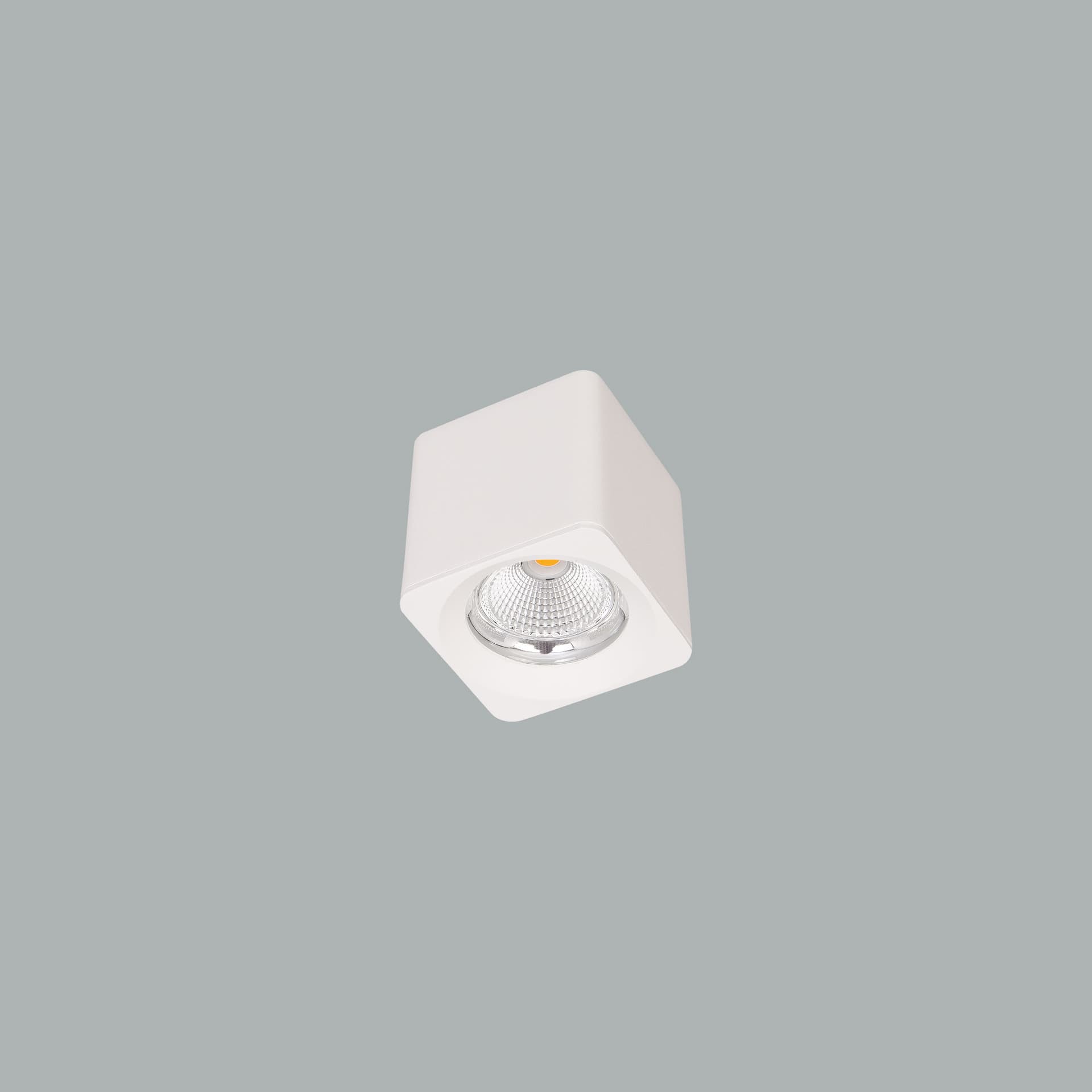 Venus Micro