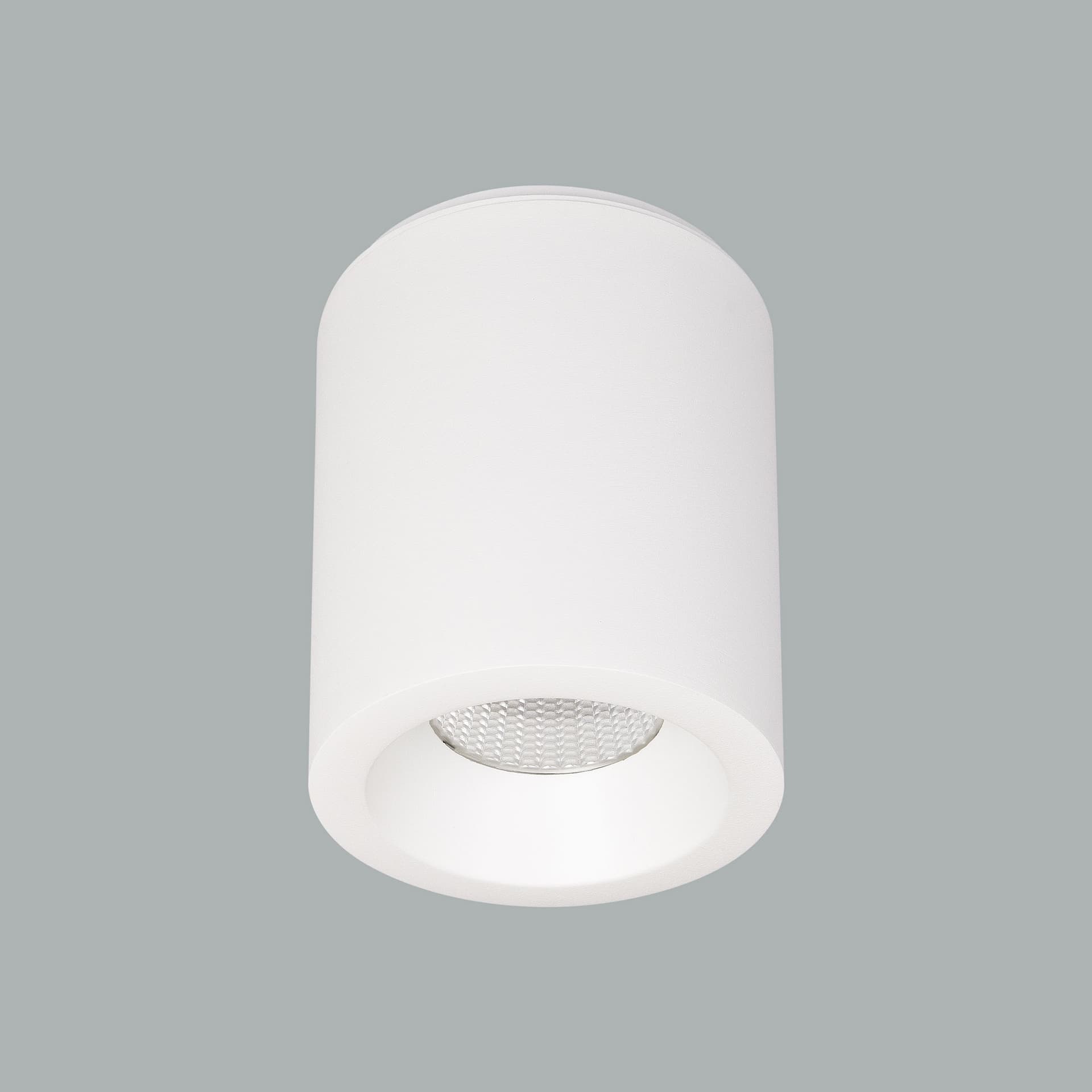 Cub Maxi Surface