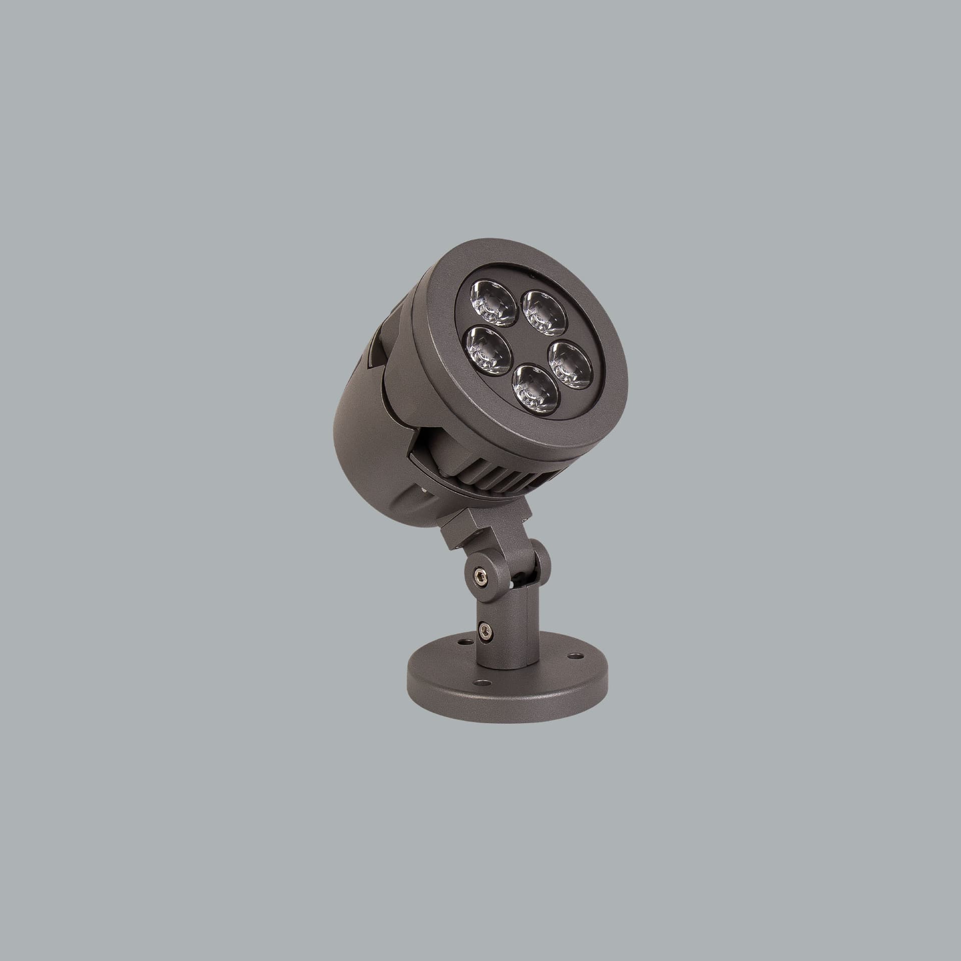 Panda Midi Focus