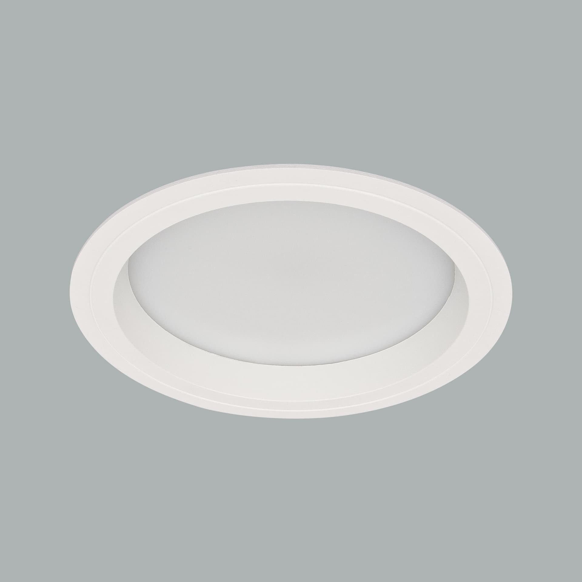 Neptun Mega Downlight