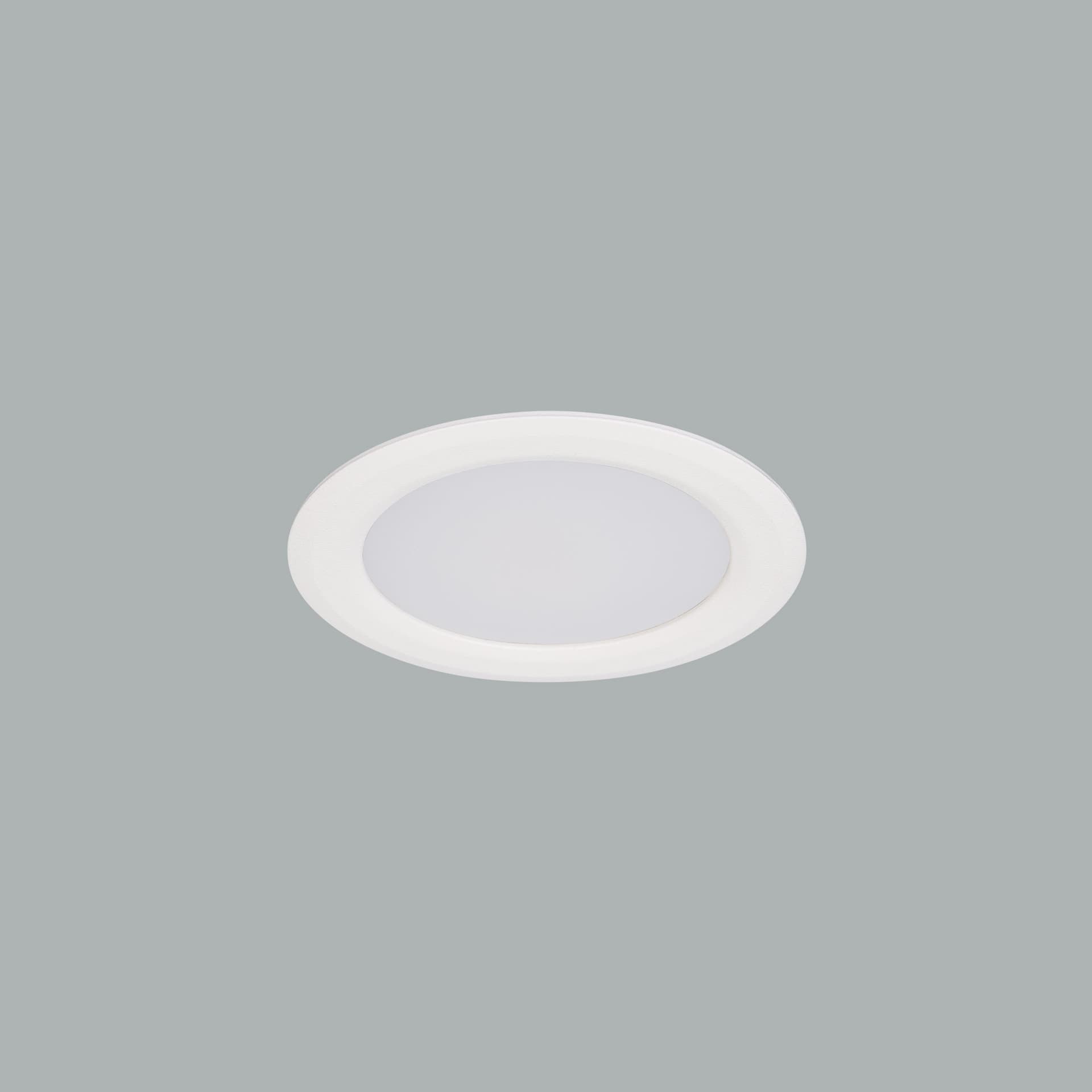 Leila Mini Downlight