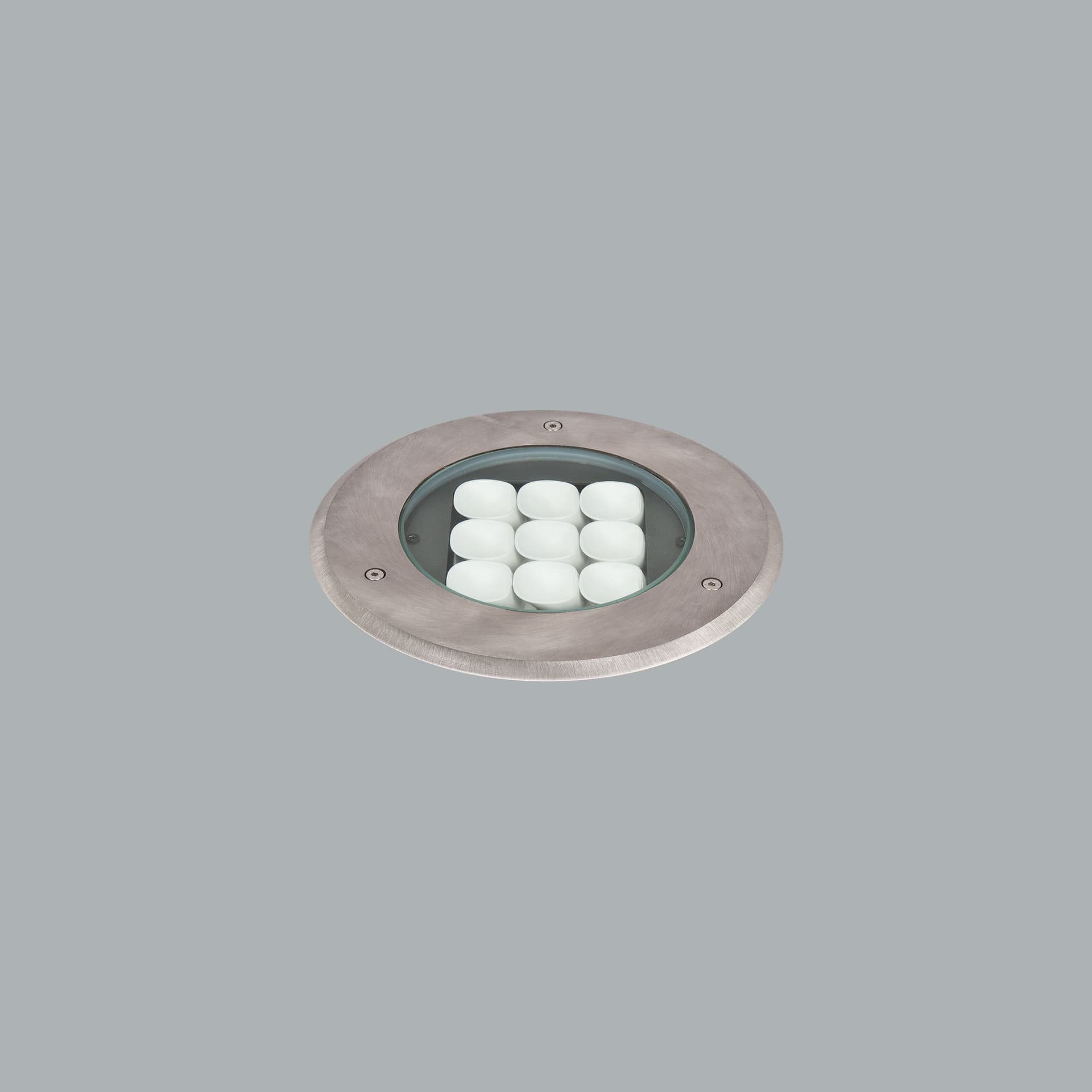 Flora Midi ASM
