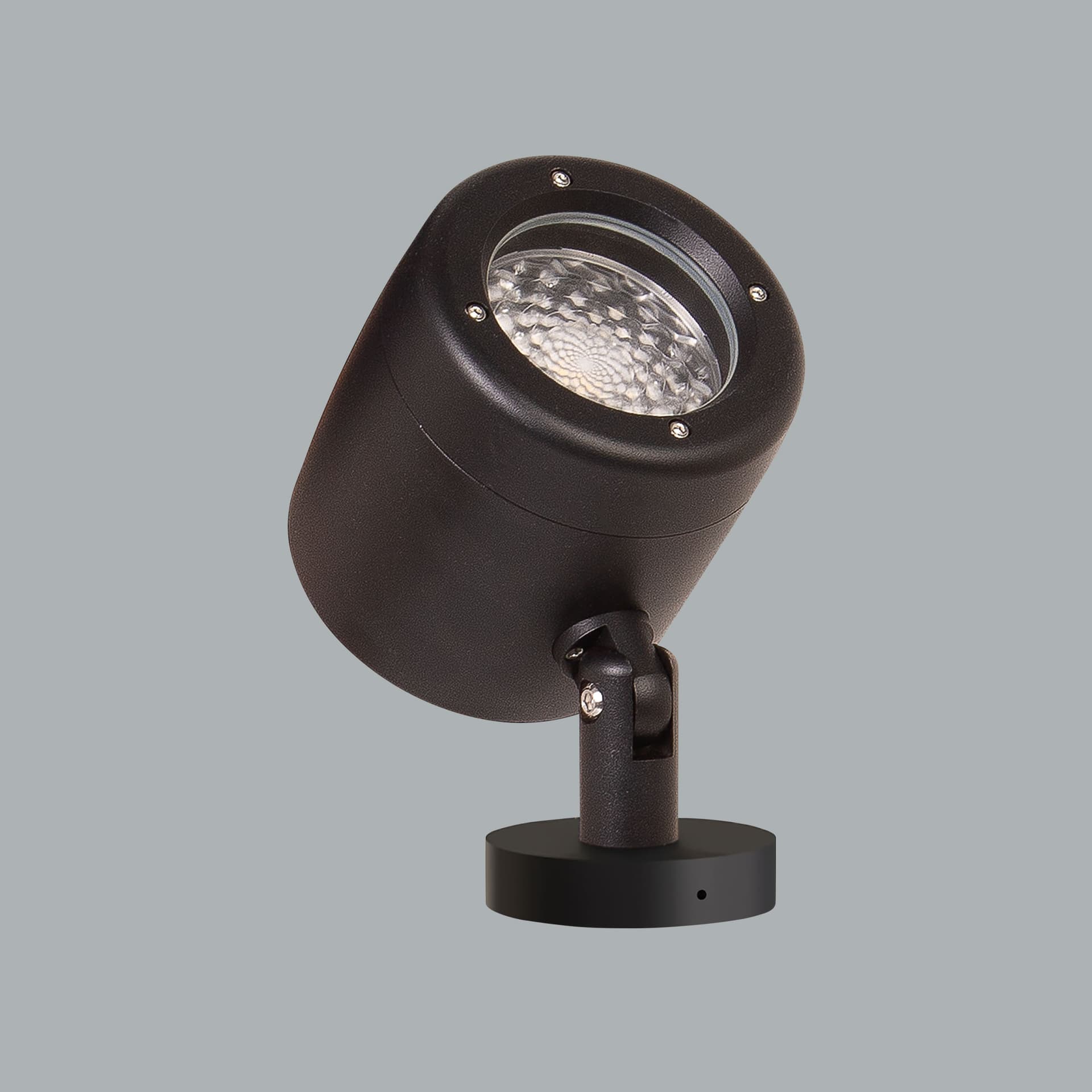 Prozoom Maxi