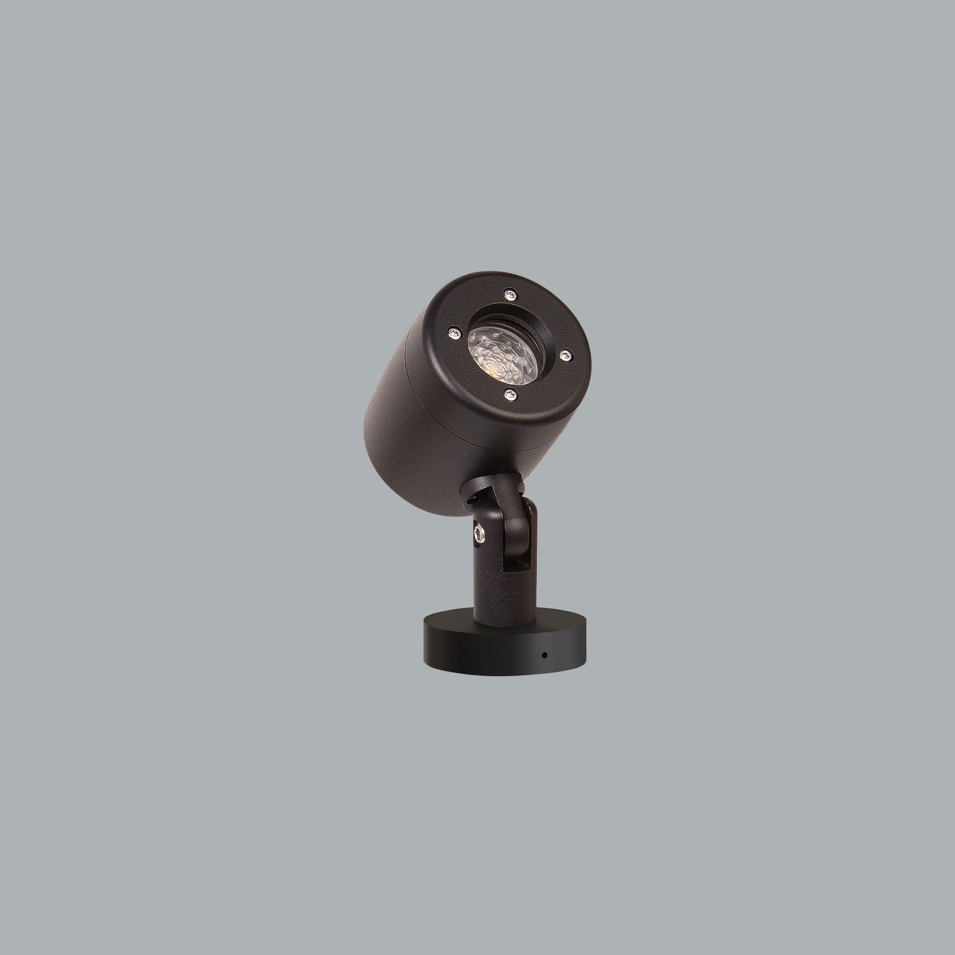Prozoom Mini