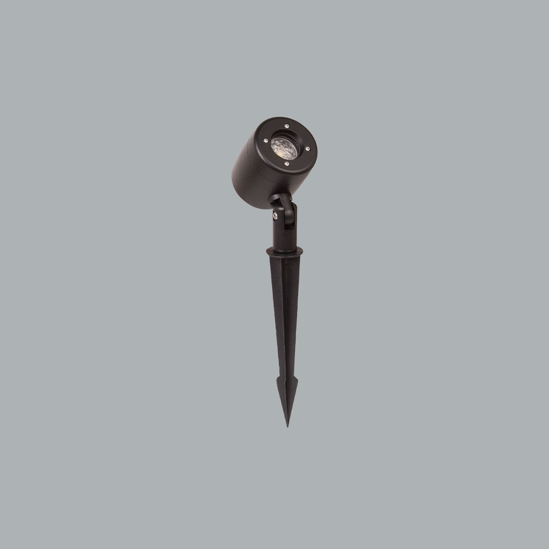 Prozoom Mini