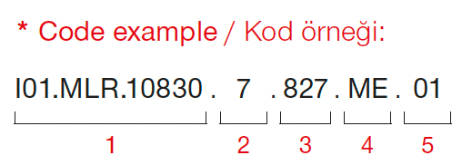 Aram Micro – Code Example